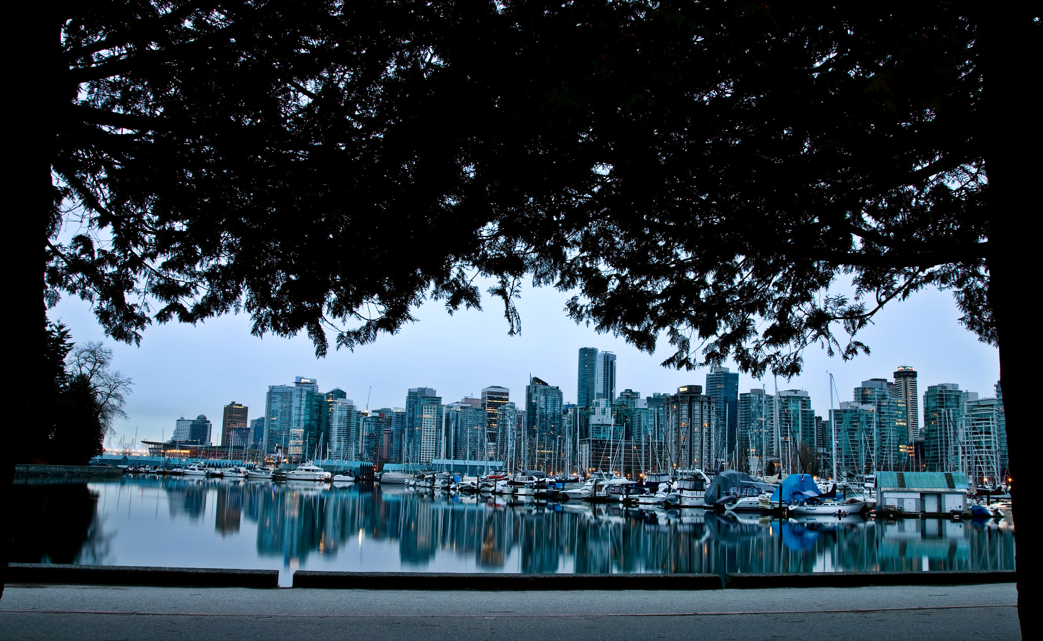 Canon EOS-1Ds Mark III sample photo. Vancouver photography