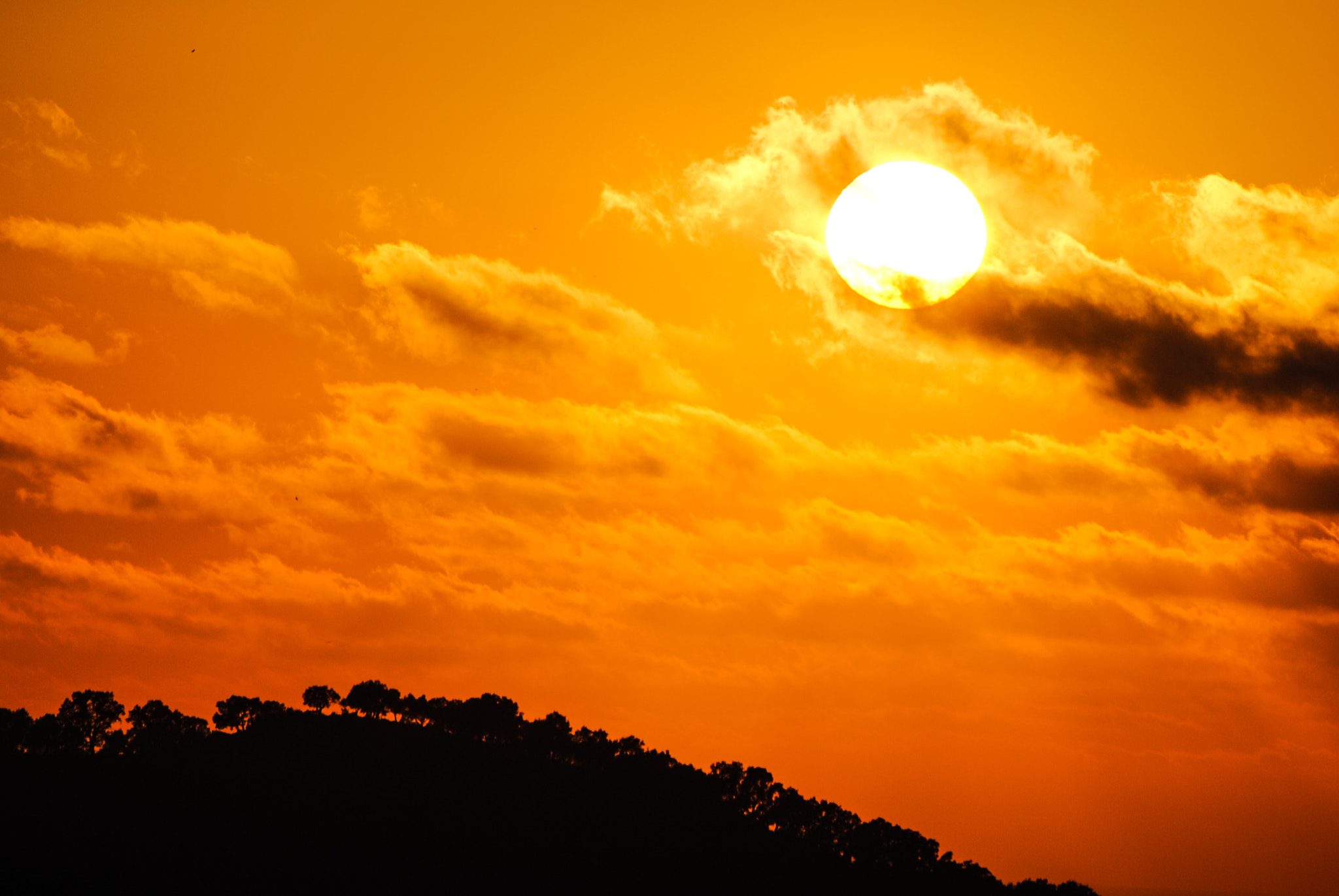 Nikon D3000 sample photo. White sun photography