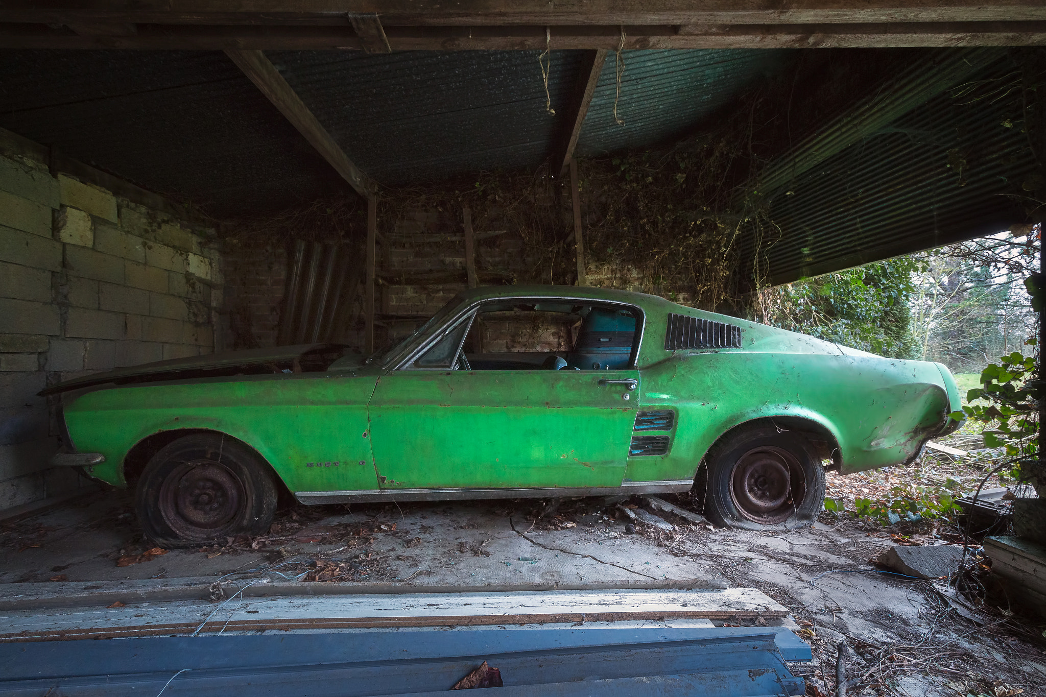 Canon EOS 650D (EOS Rebel T4i / EOS Kiss X6i) sample photo. Abandoned ford mustang. photography