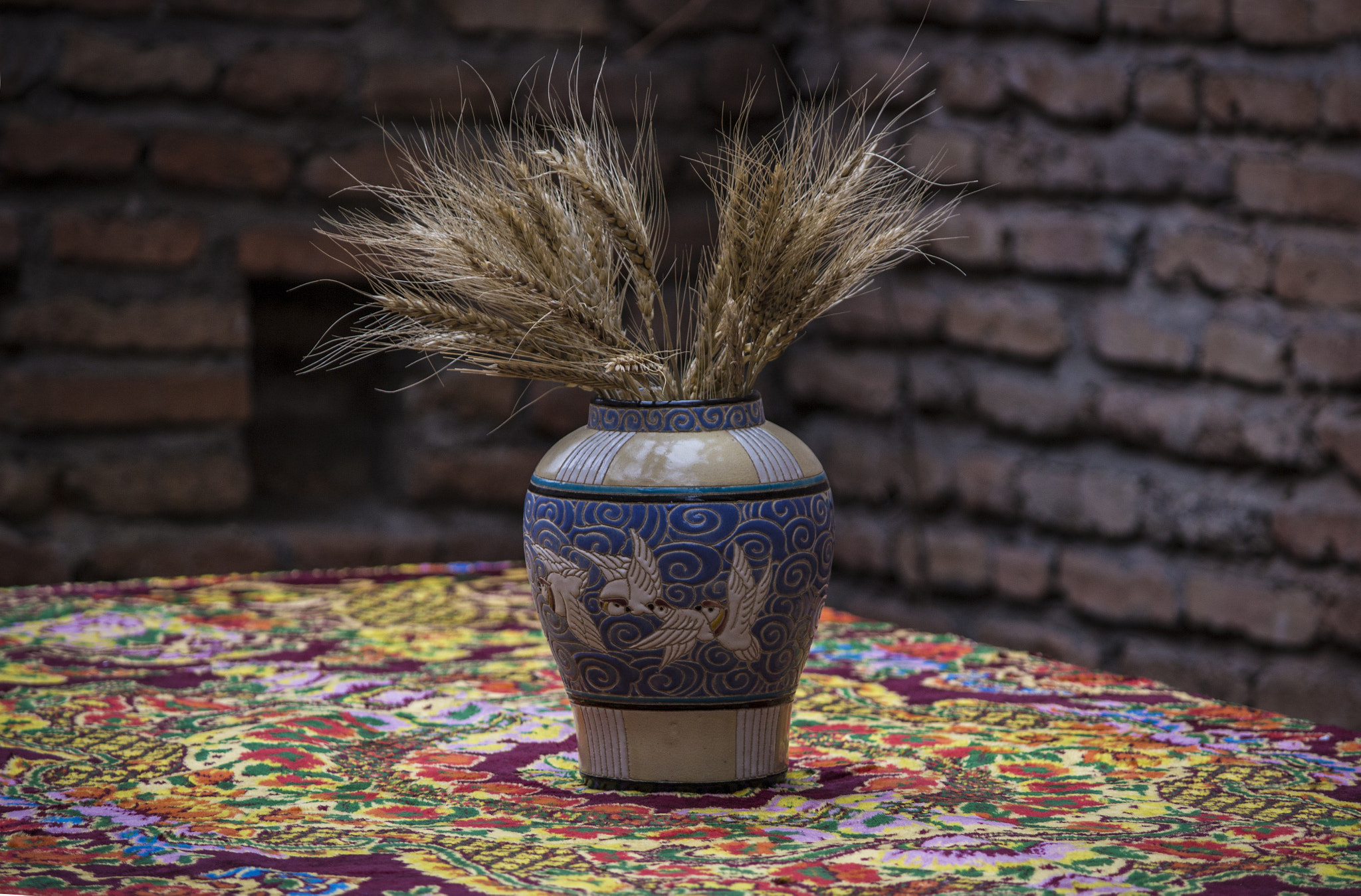Canon EF-S 55-250mm F4-5.6 IS II sample photo. () photography