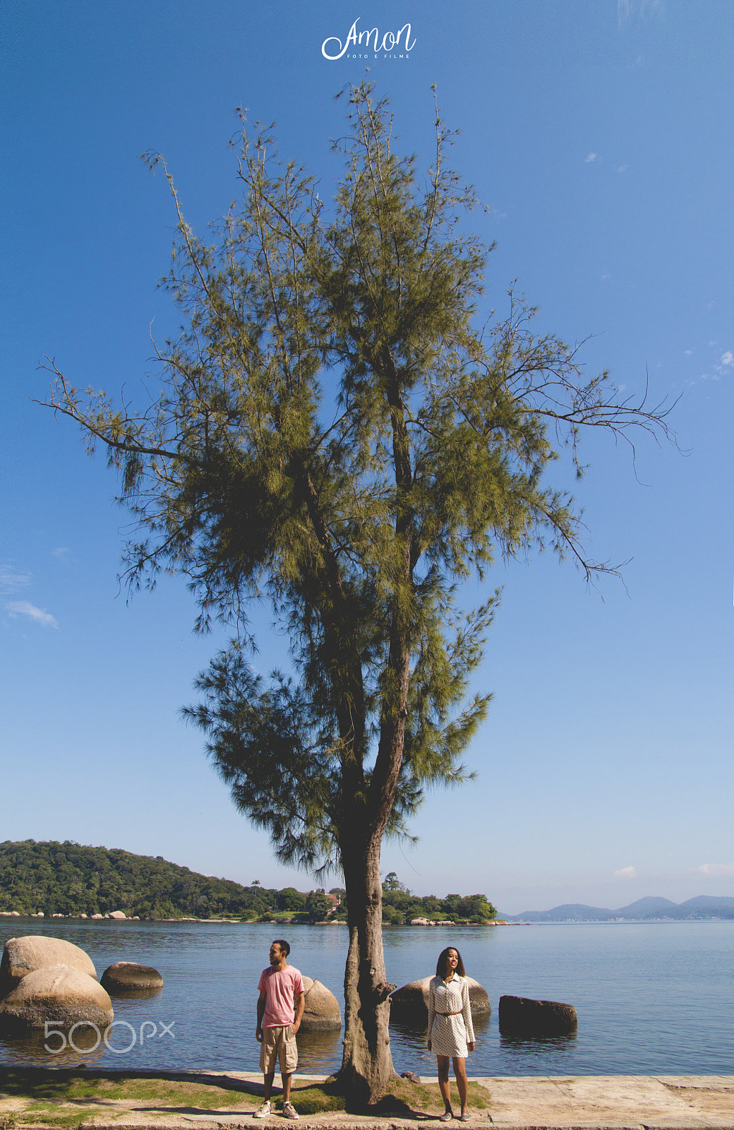 Sigma 17-70mm F2.8-4 DC Macro OS HSM sample photo. Arvore da vida photography