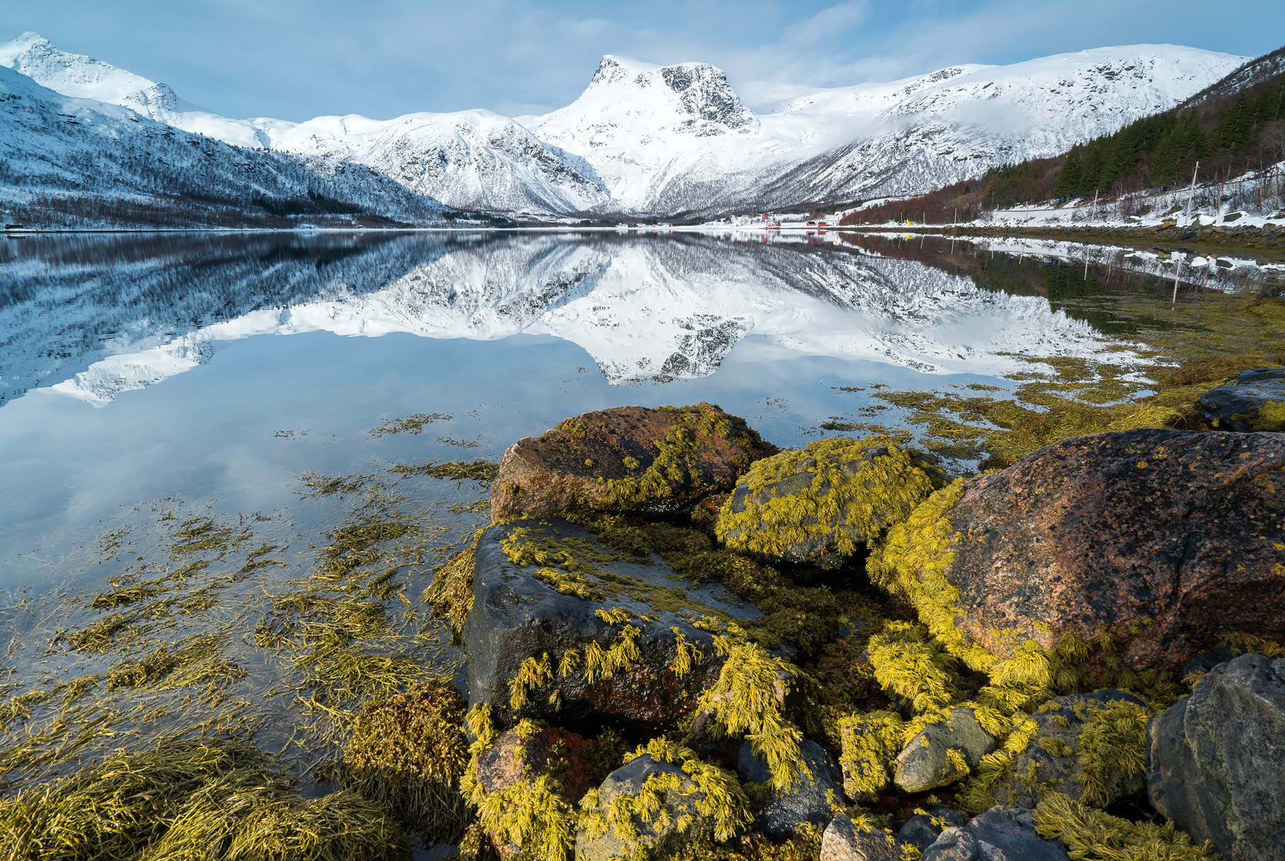 Sony a7R II + Sony Vario-Tessar T* FE 16-35mm F4 ZA OSS sample photo. Reflections photography