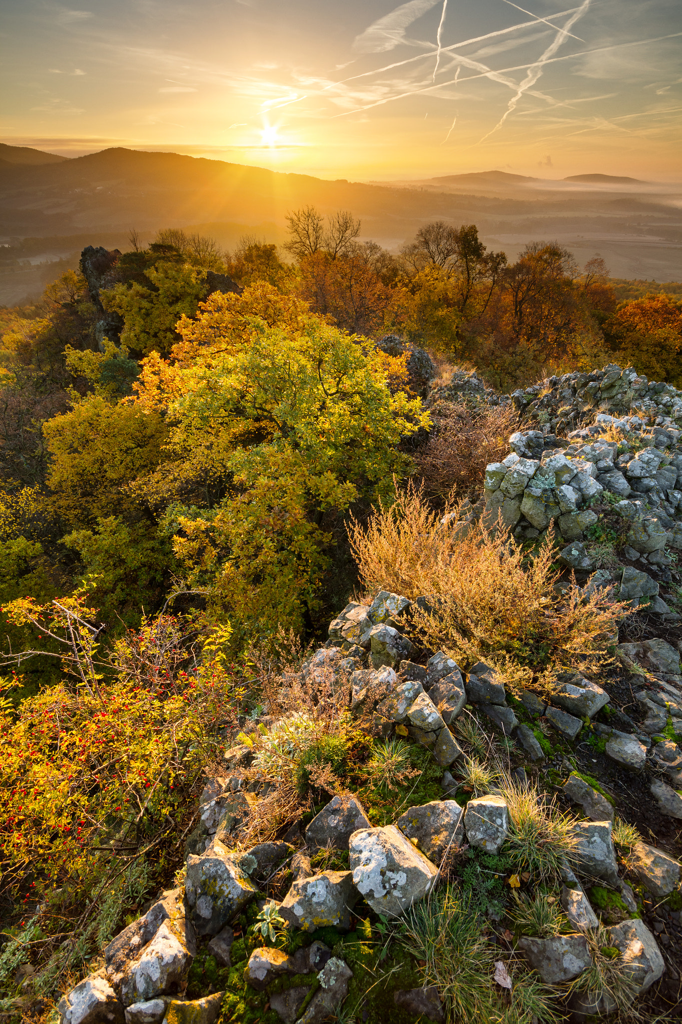 Canon EOS 7D sample photo. Autumn morning photography