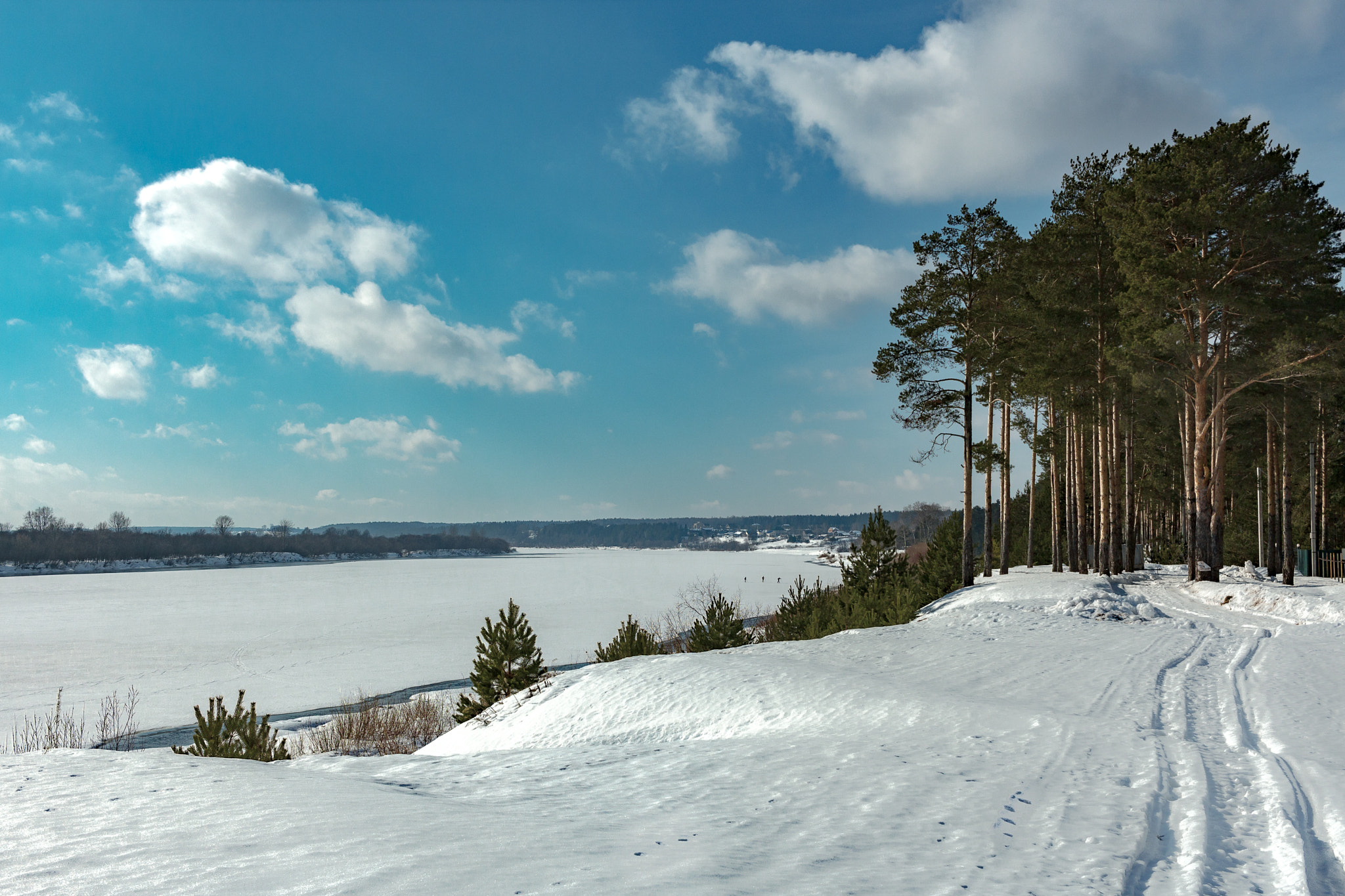 Canon EF-S 24mm F2.8 STM sample photo. Spring's coming photography