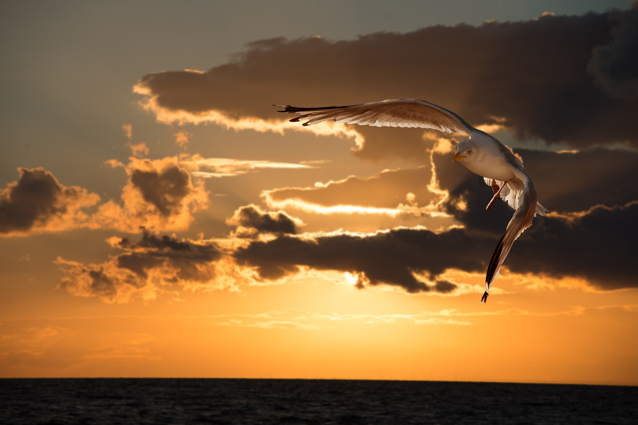 Nikon AF-S Nikkor 70-200mm F2.8G ED VR II sample photo. Dreaming photography