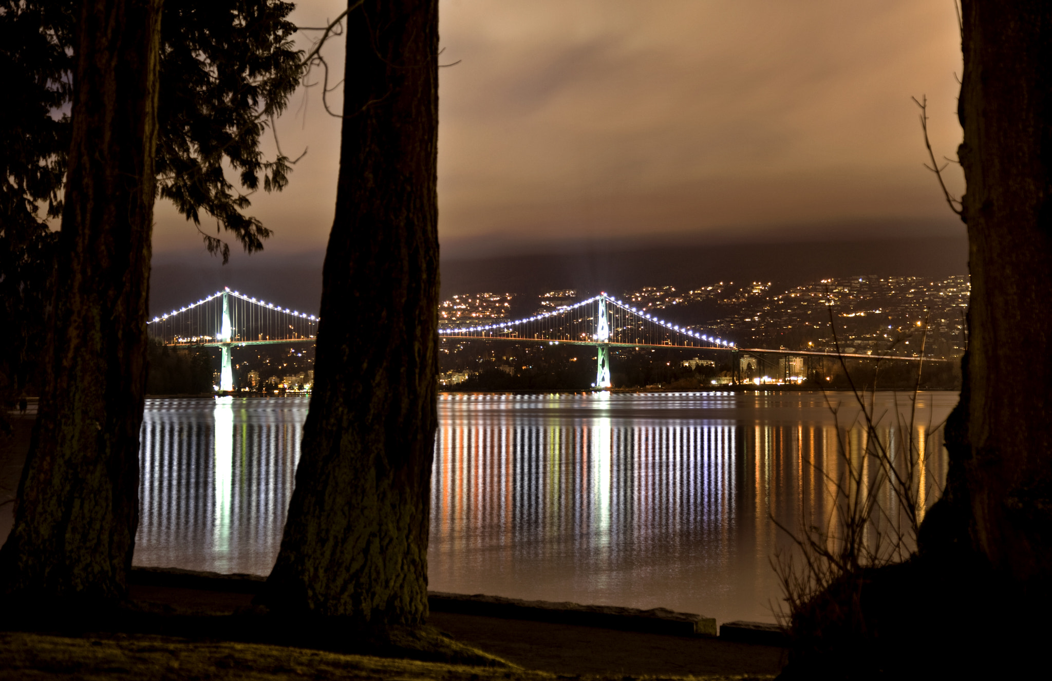 Canon EOS-1Ds Mark III sample photo. Stanley park photography
