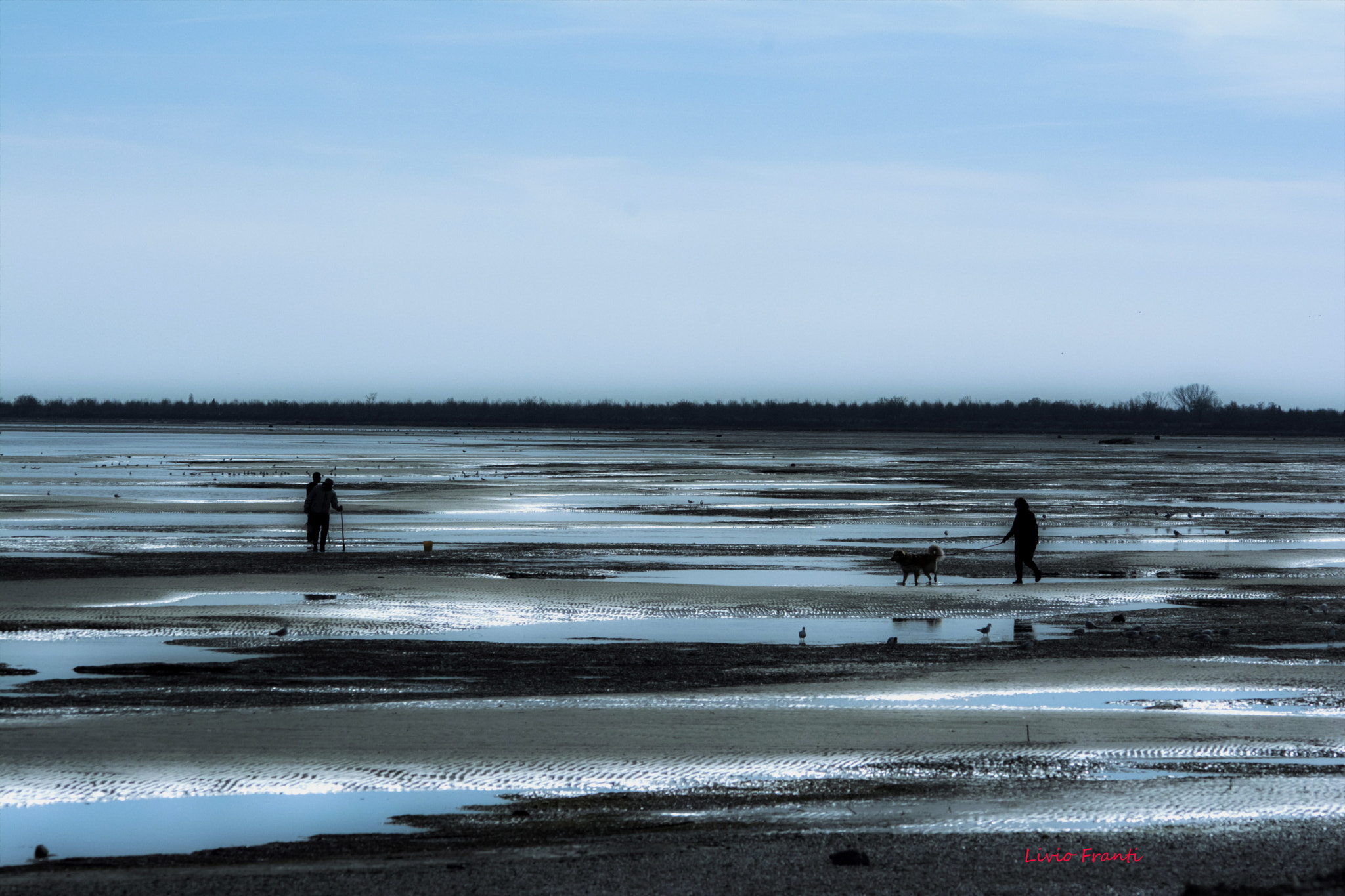 Sigma 150-500mm F5-6.3 DG OS HSM sample photo. Marina photography
