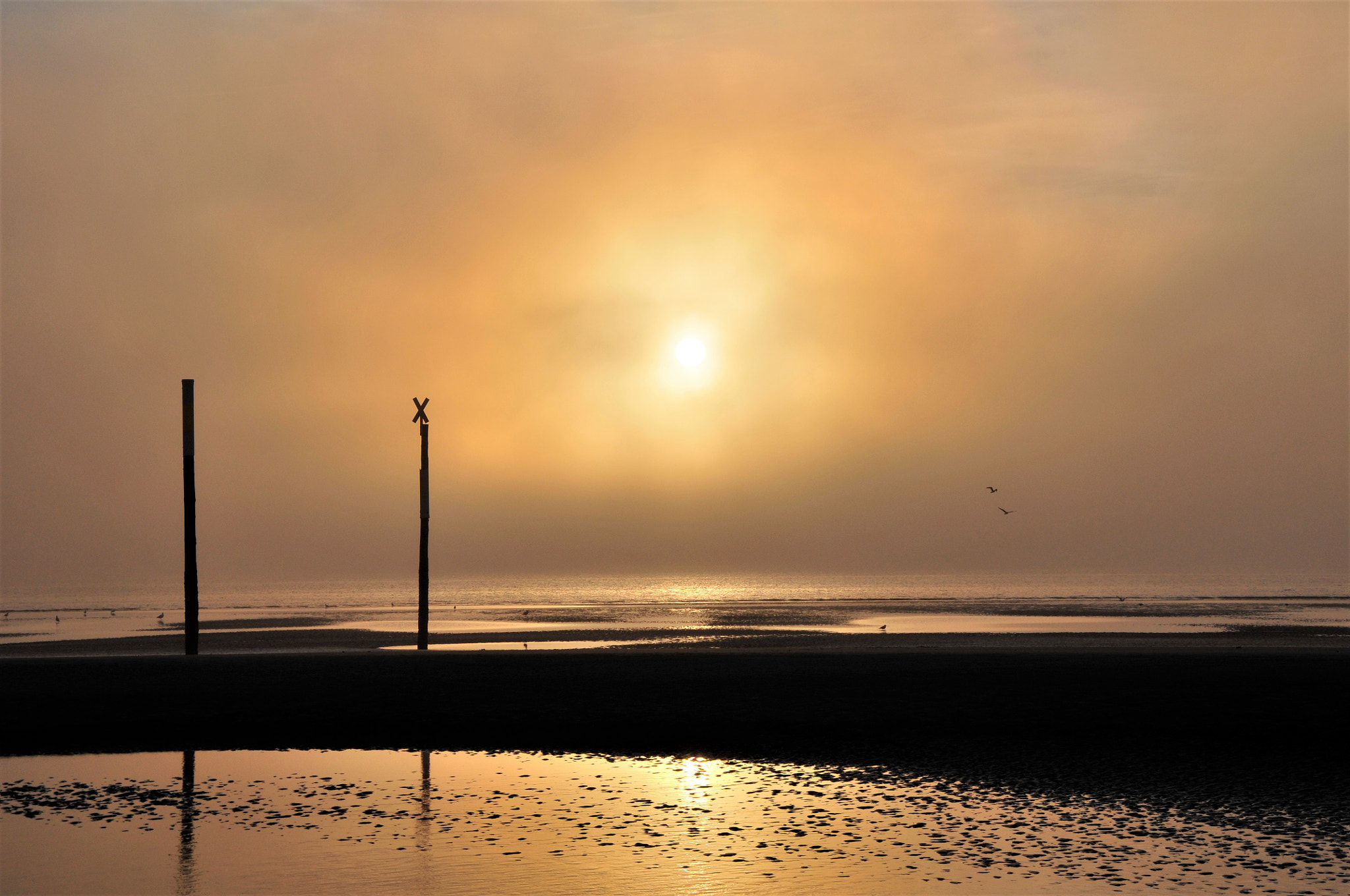 Nikon D300S + Nikon AF-S DX Nikkor 18-105mm F3.5-5.6G ED VR sample photo. St. peter ording photography