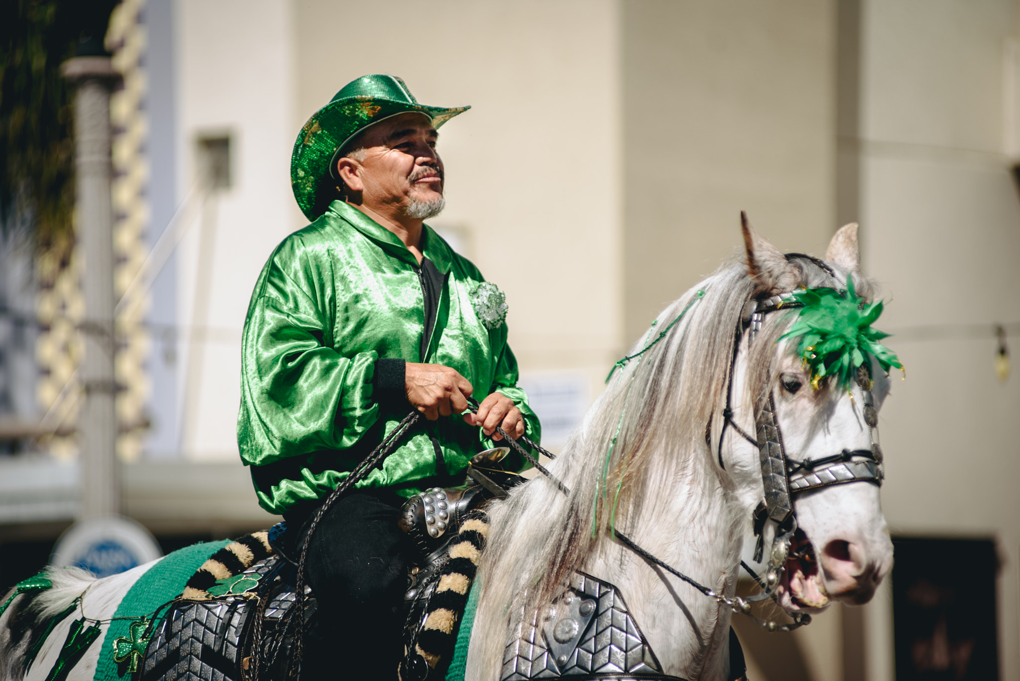 Nikon AF-Nikkor 80-200mm F2.8D ED sample photo. Bmd photography