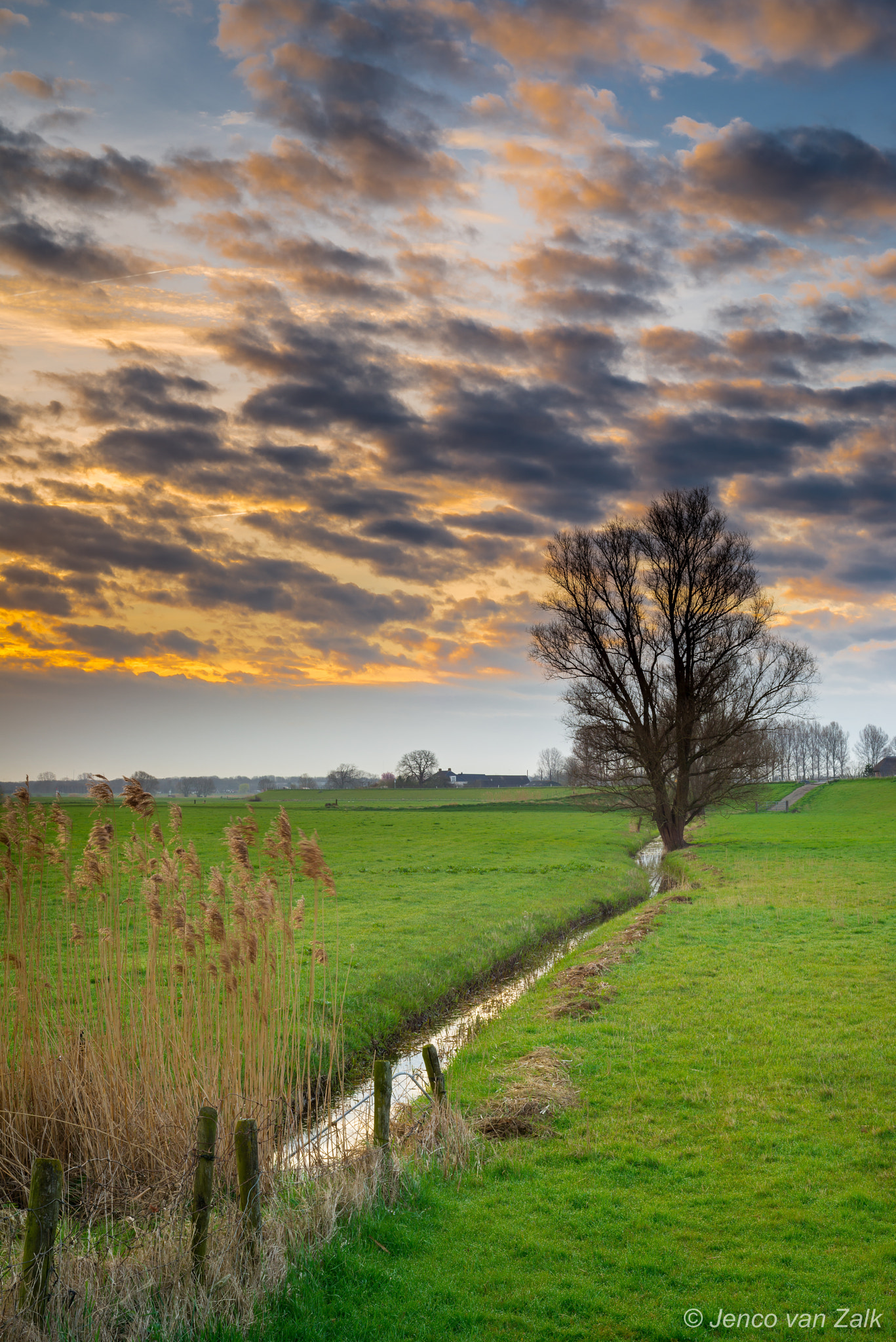 Nikon D800E + AF Nikkor 50mm f/1.8 sample photo. Sunrise 2 photography