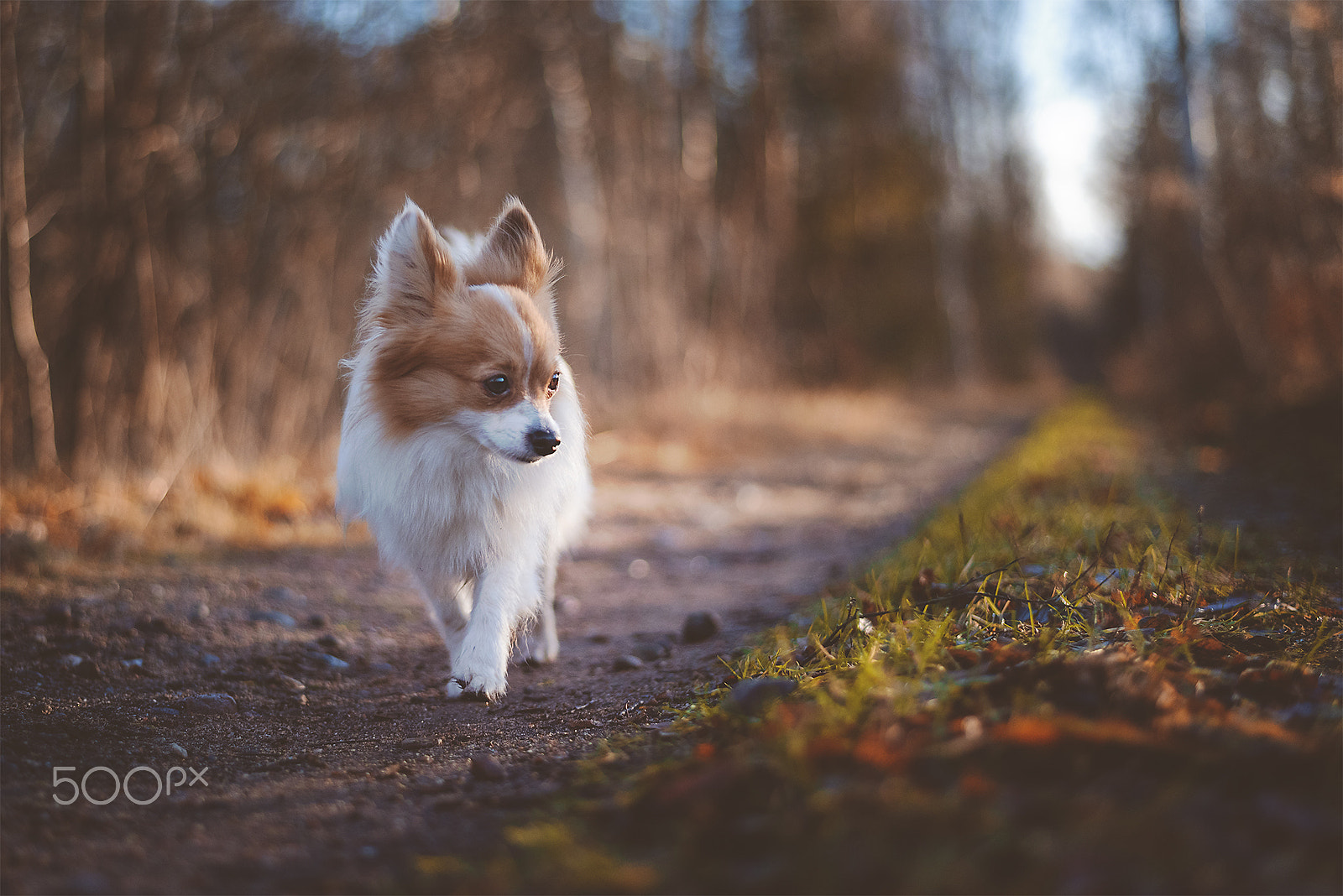 Nikon D810 + Nikon AF-S Nikkor 50mm F1.8G sample photo. Sky photography