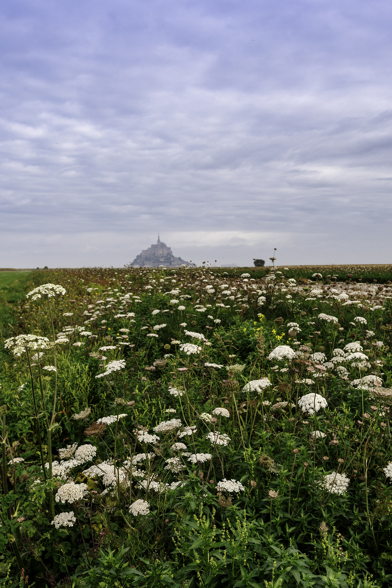 Nikon D750 + Nikon AF-S Nikkor 16-35mm F4G ED VR sample photo