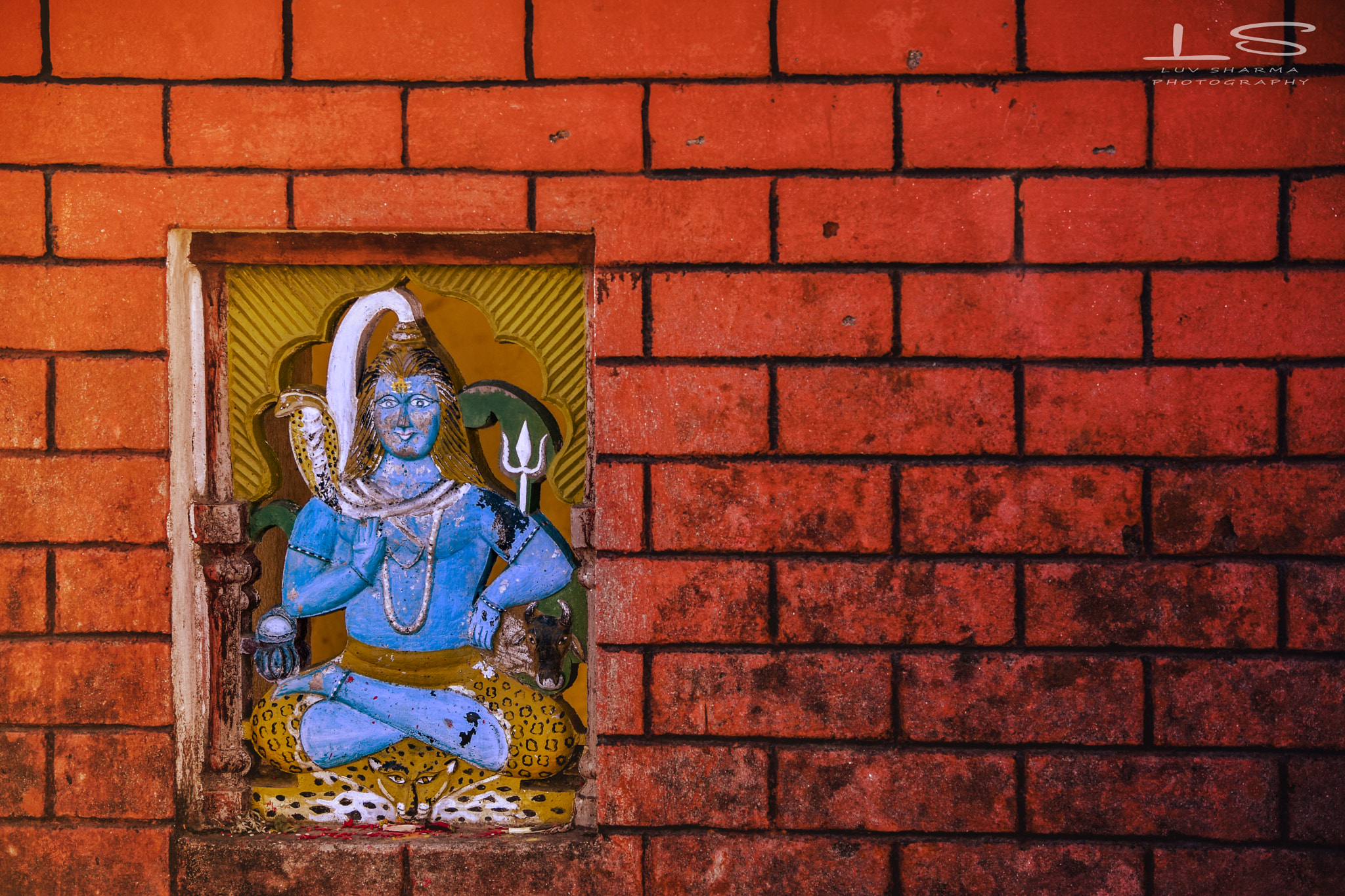 Nikon D5500 sample photo. Street photography