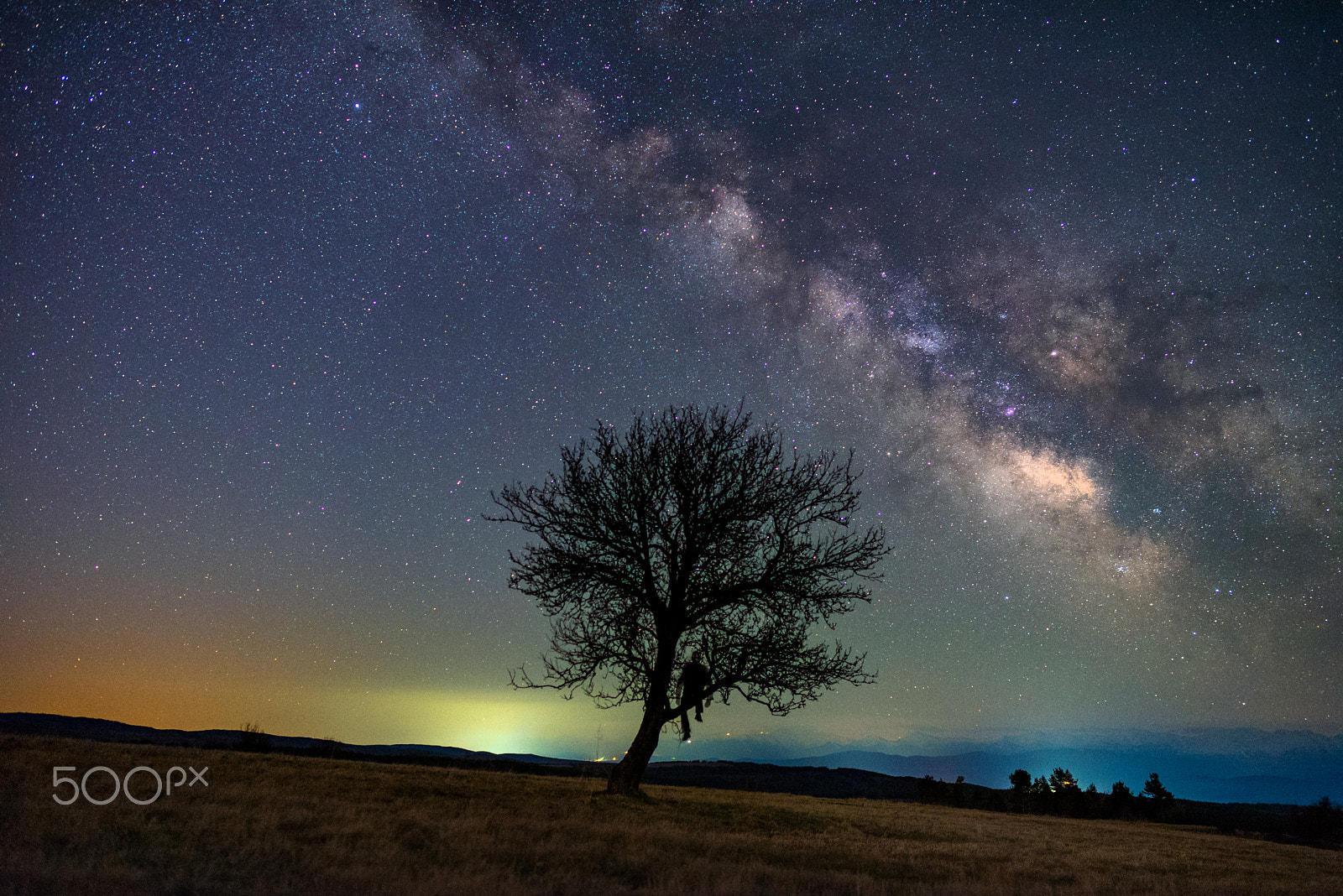 Nikon D750 + Samyang 12mm F2.8 ED AS NCS Fisheye sample photo. When you see it photography