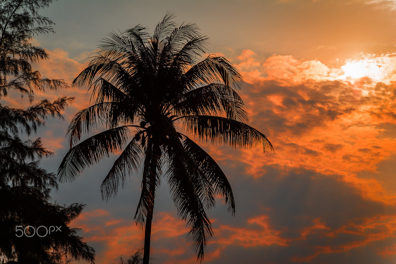 Nikon D800 + AF Nikkor 70-210mm f/4-5.6 sample photo. Nek photography
