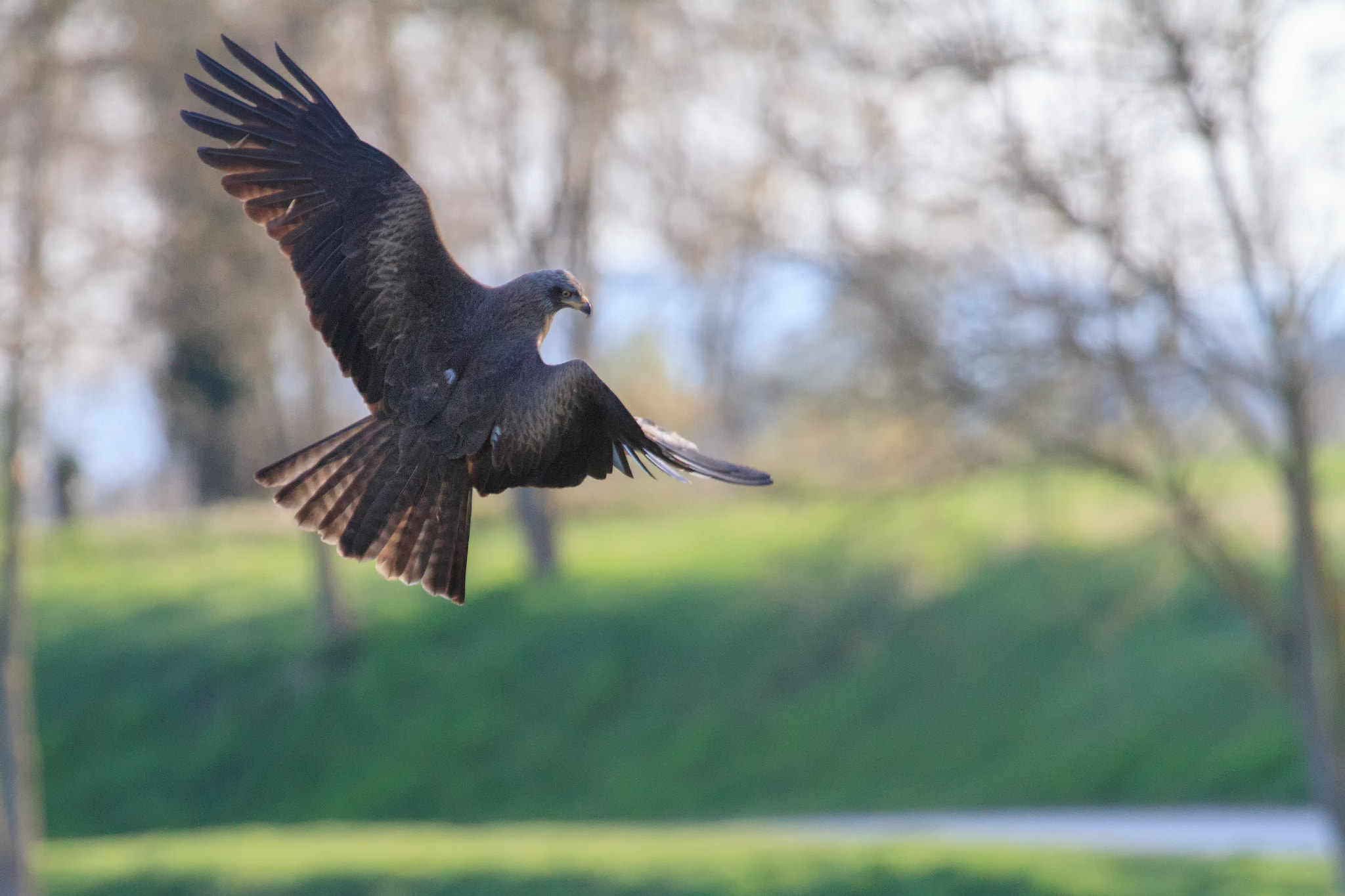 Canon EF 100-400mm F4.5-5.6L IS USM sample photo. Mg photography