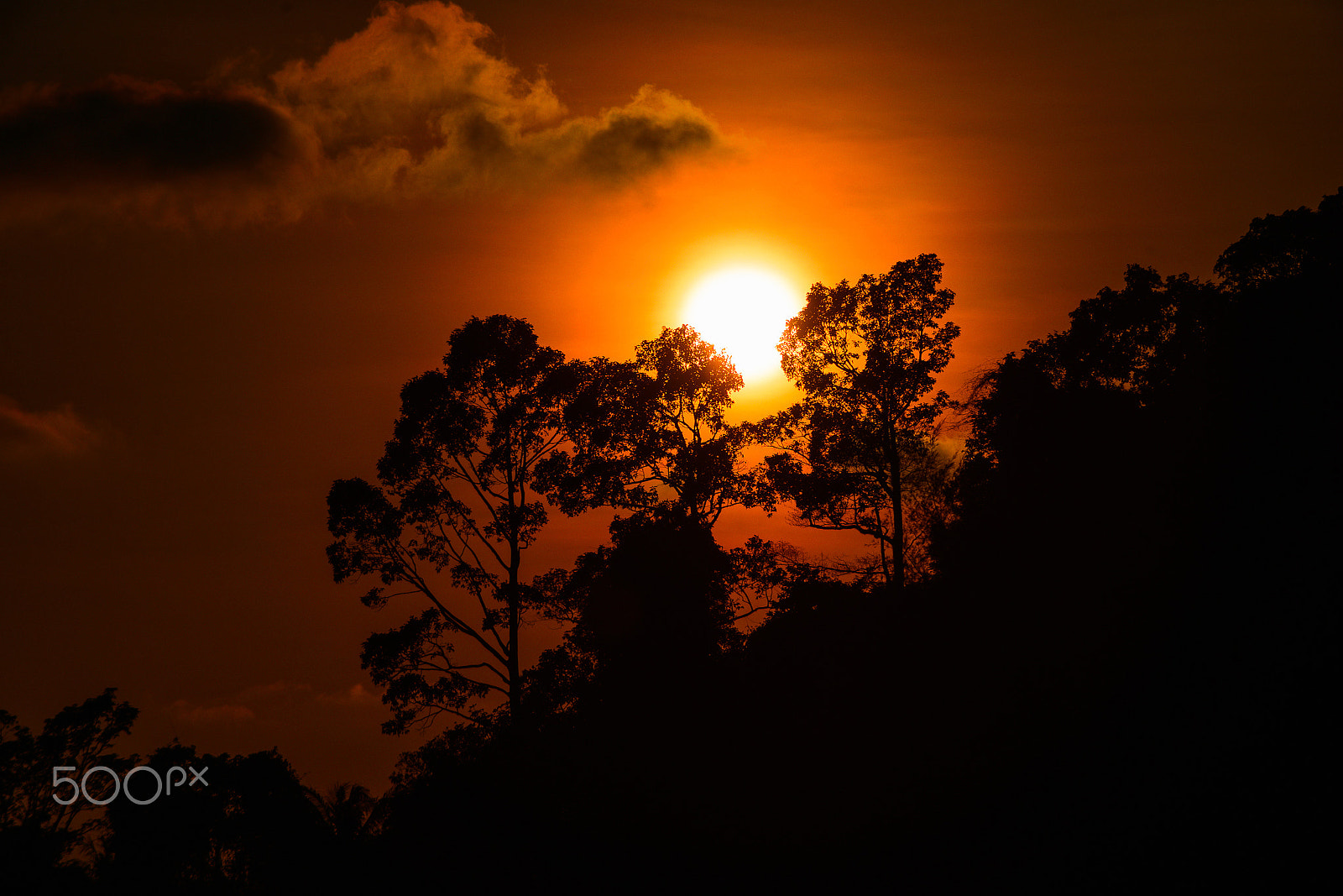 Nikon D800 + AF Nikkor 70-210mm f/4-5.6 sample photo. Nek photography