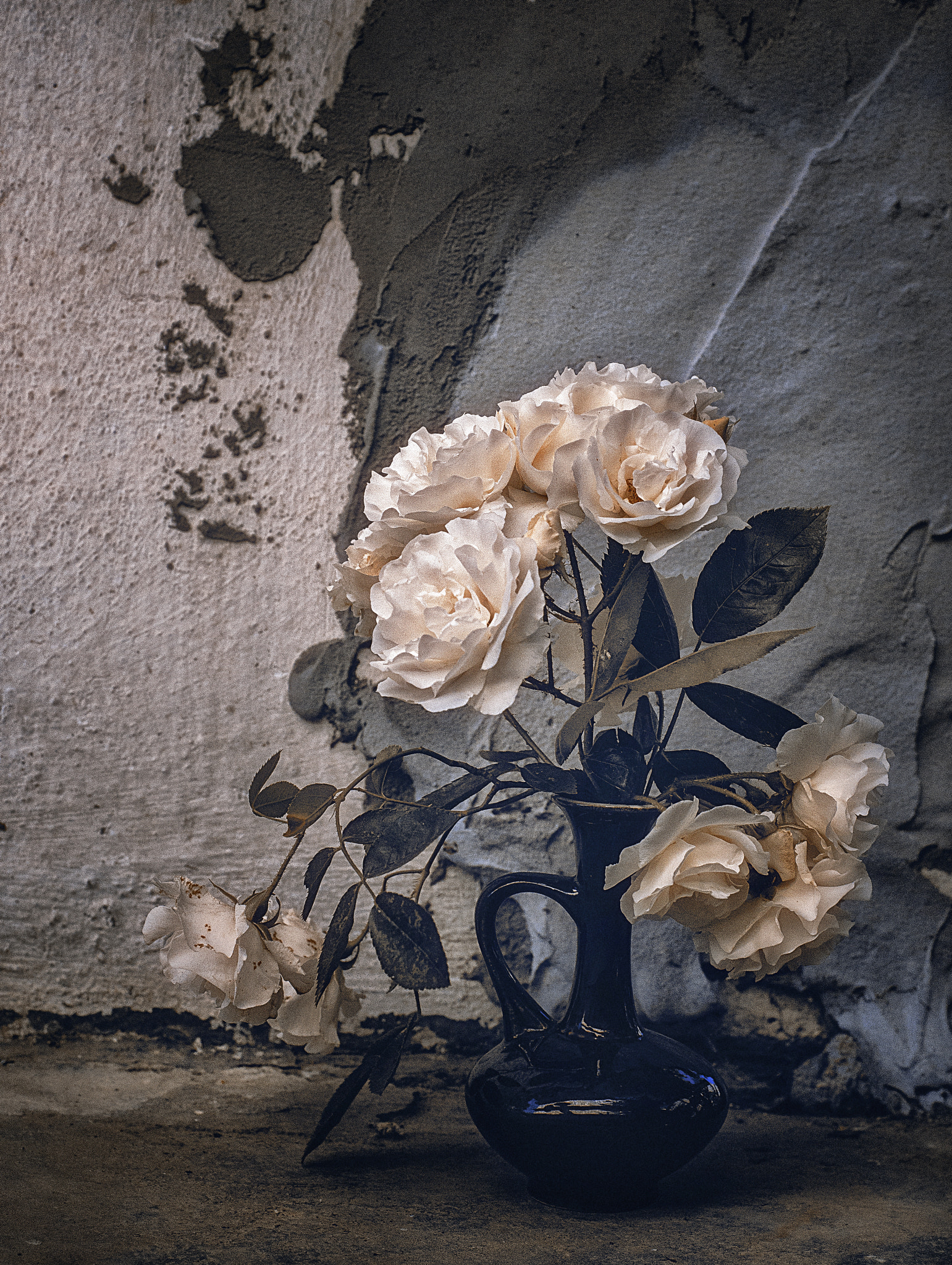 Nikon D7000 + Nikon AF-S Nikkor 50mm F1.8G sample photo. About gentle roses and vicissitudes of fate photography