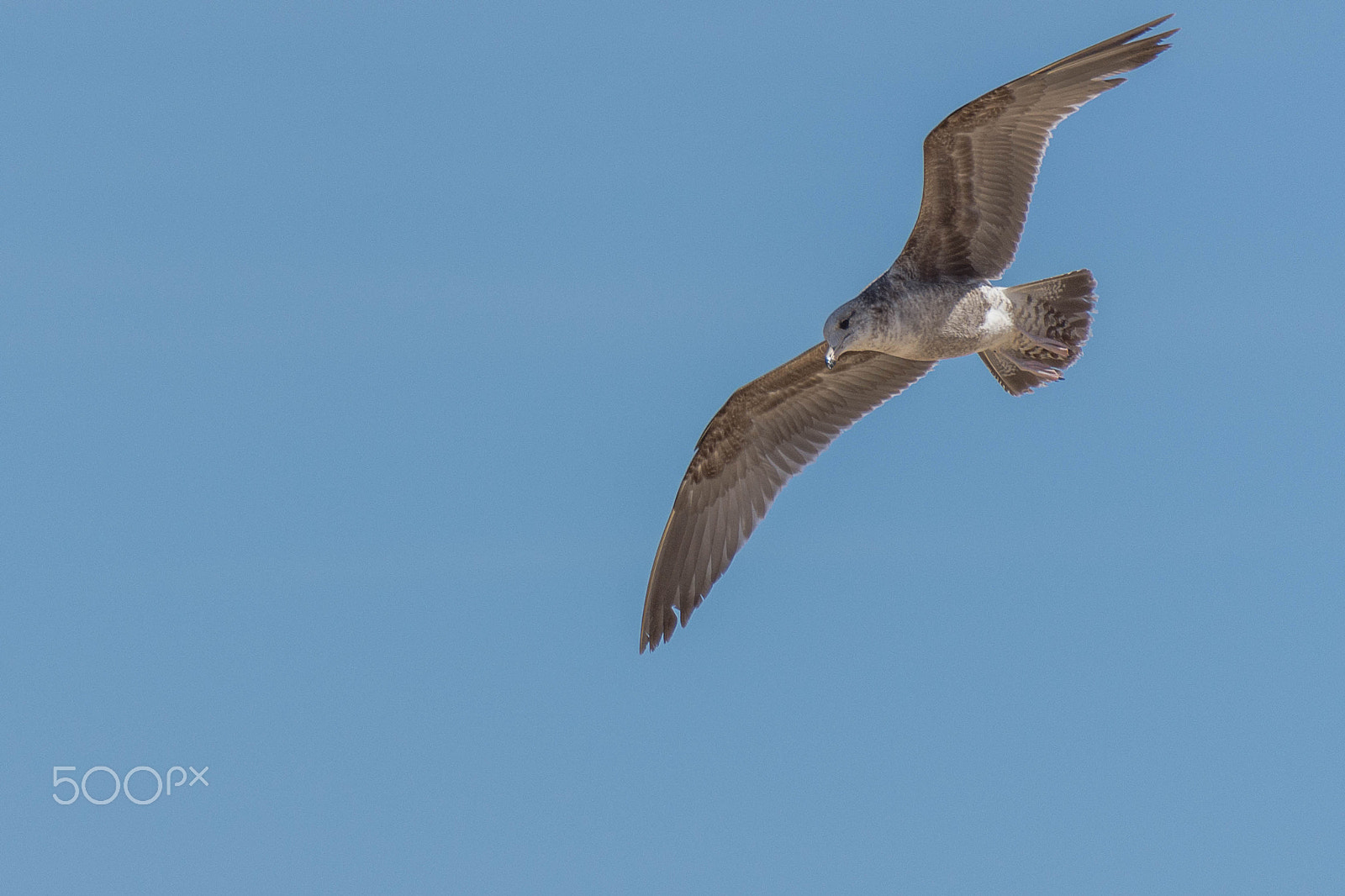 Nikon D7200 sample photo