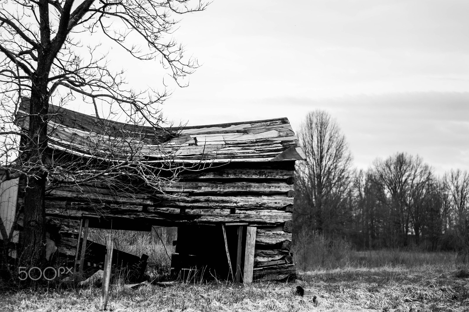 Nikon D5300 + AF-S DX VR Zoom-Nikkor 18-55mm f/3.5-5.6G + 2.8x sample photo. This old barn photography