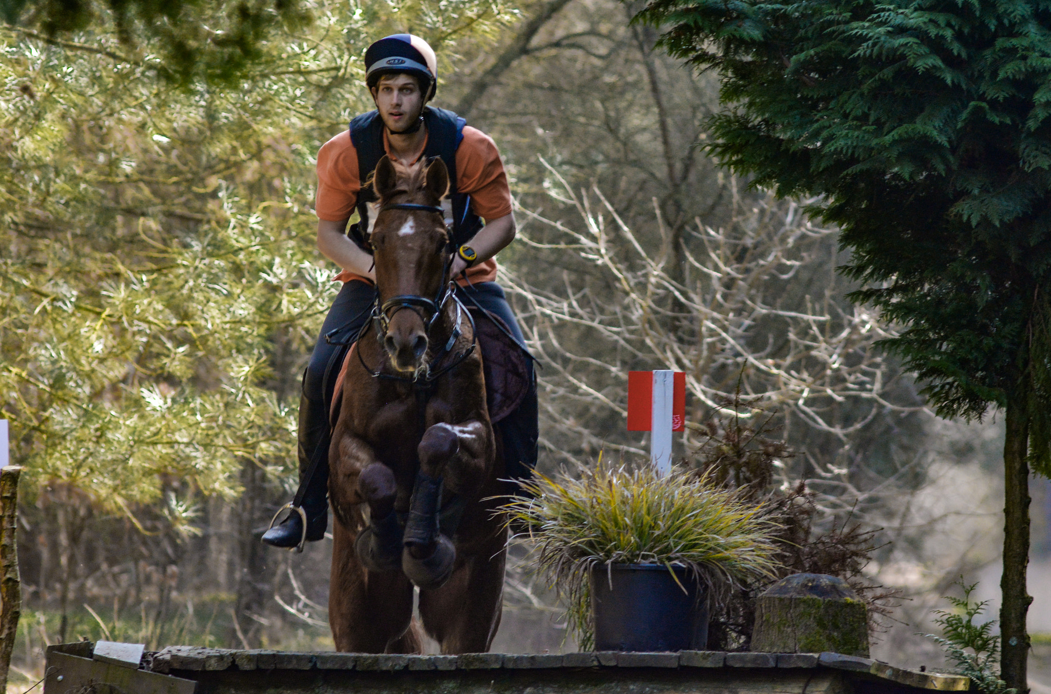 Nikon D7100 sample photo. Eventing photography