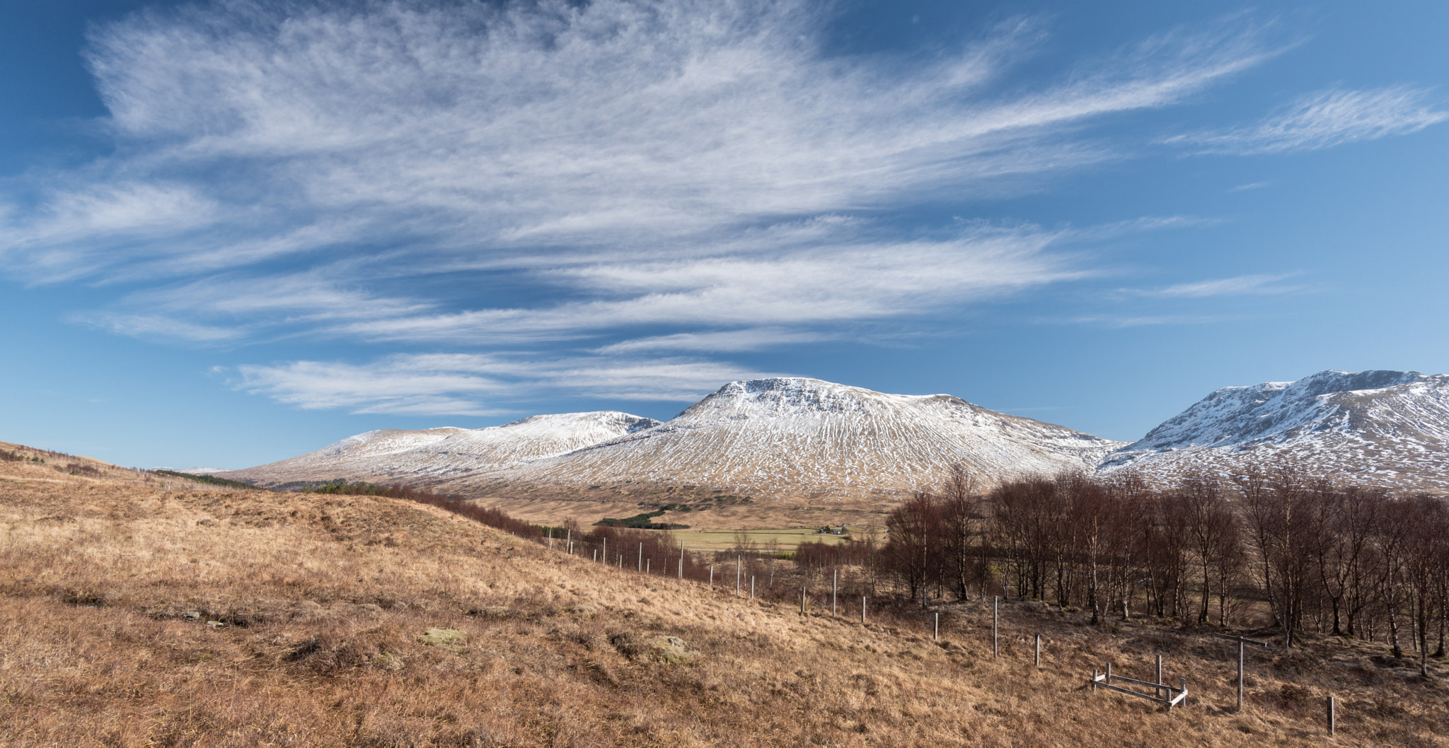 Nikon D750 + Nikon AF-S Nikkor 16-35mm F4G ED VR sample photo. Dsc photography