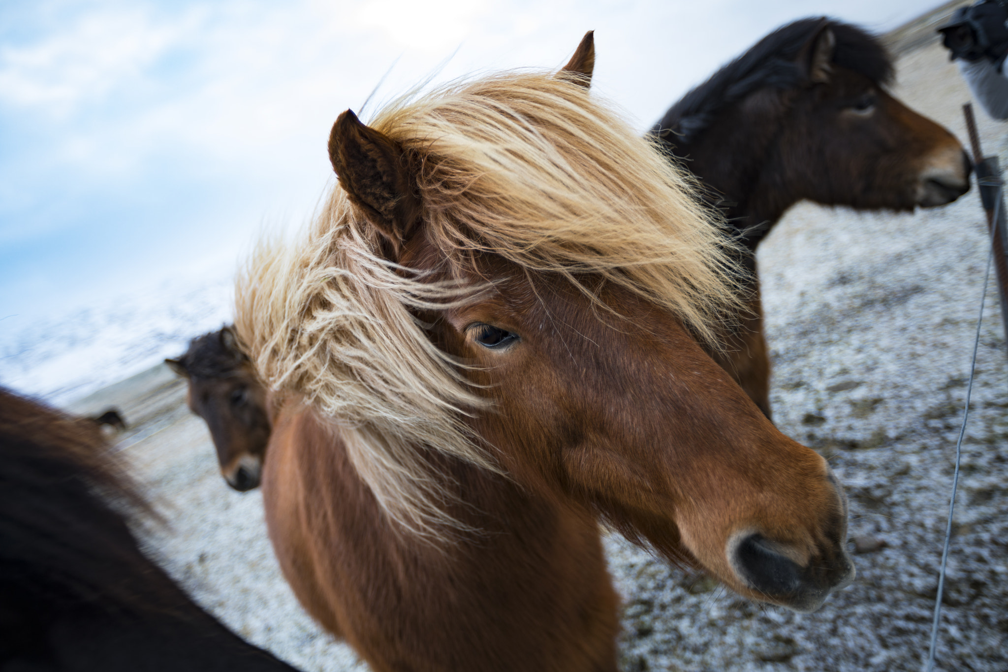 Canon EF 16-35mm F2.8L II USM sample photo. Iceland photography
