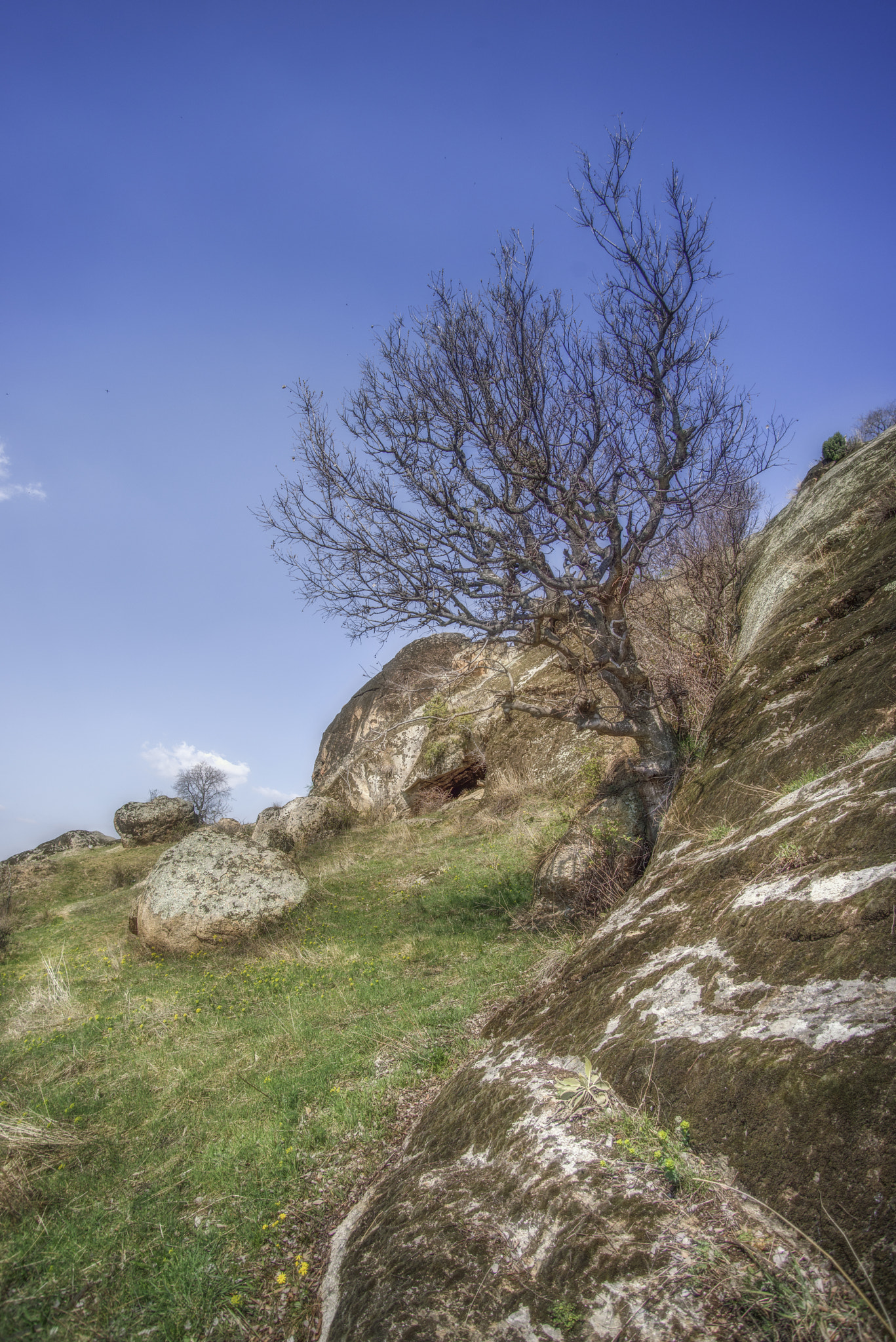 smc PENTAX-F 35-70mm F3.5-4.5 sample photo. Stone tree photography