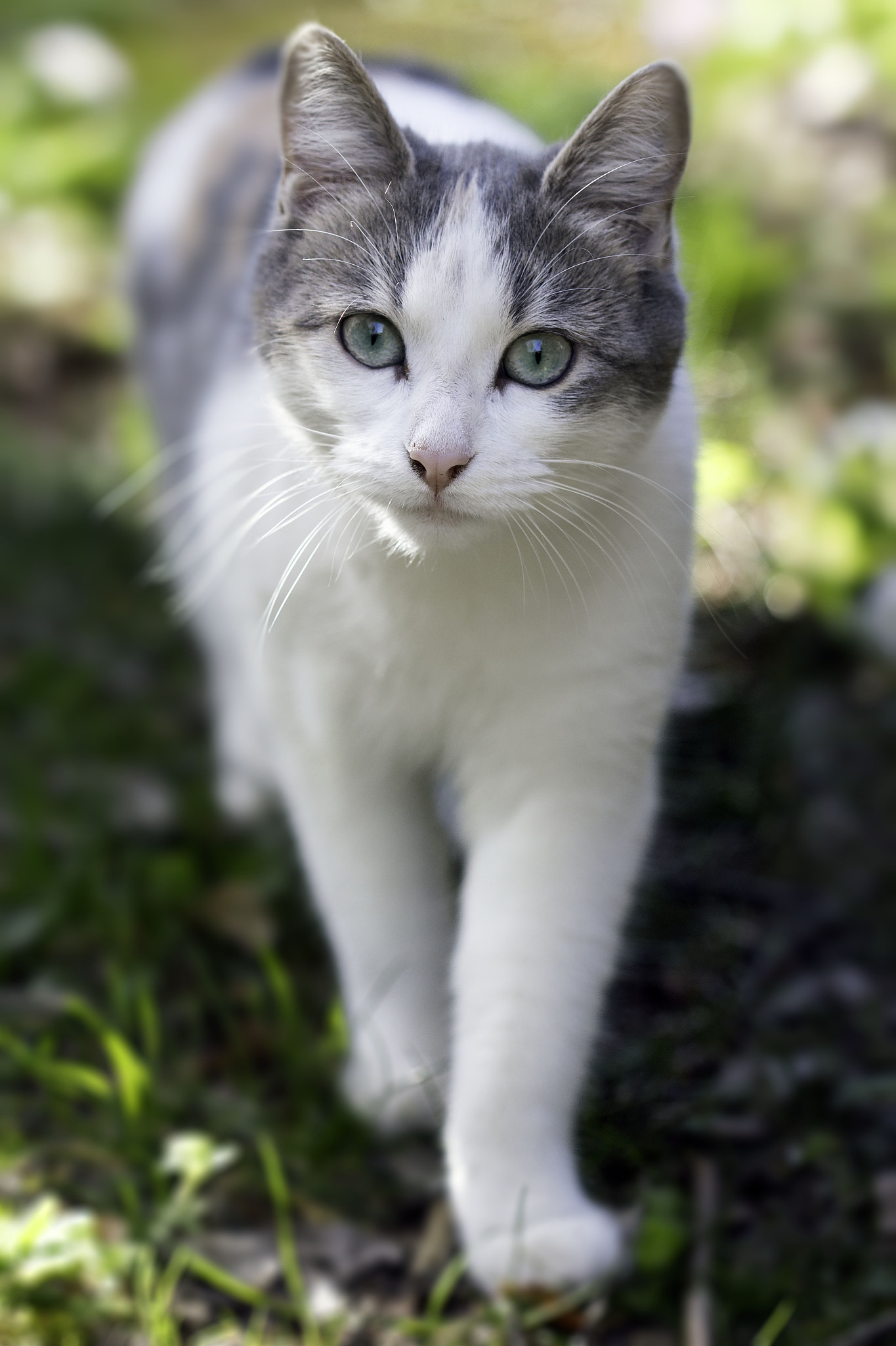 Canon EF 100mm F2.8 Macro USM sample photo. Hi ! photography