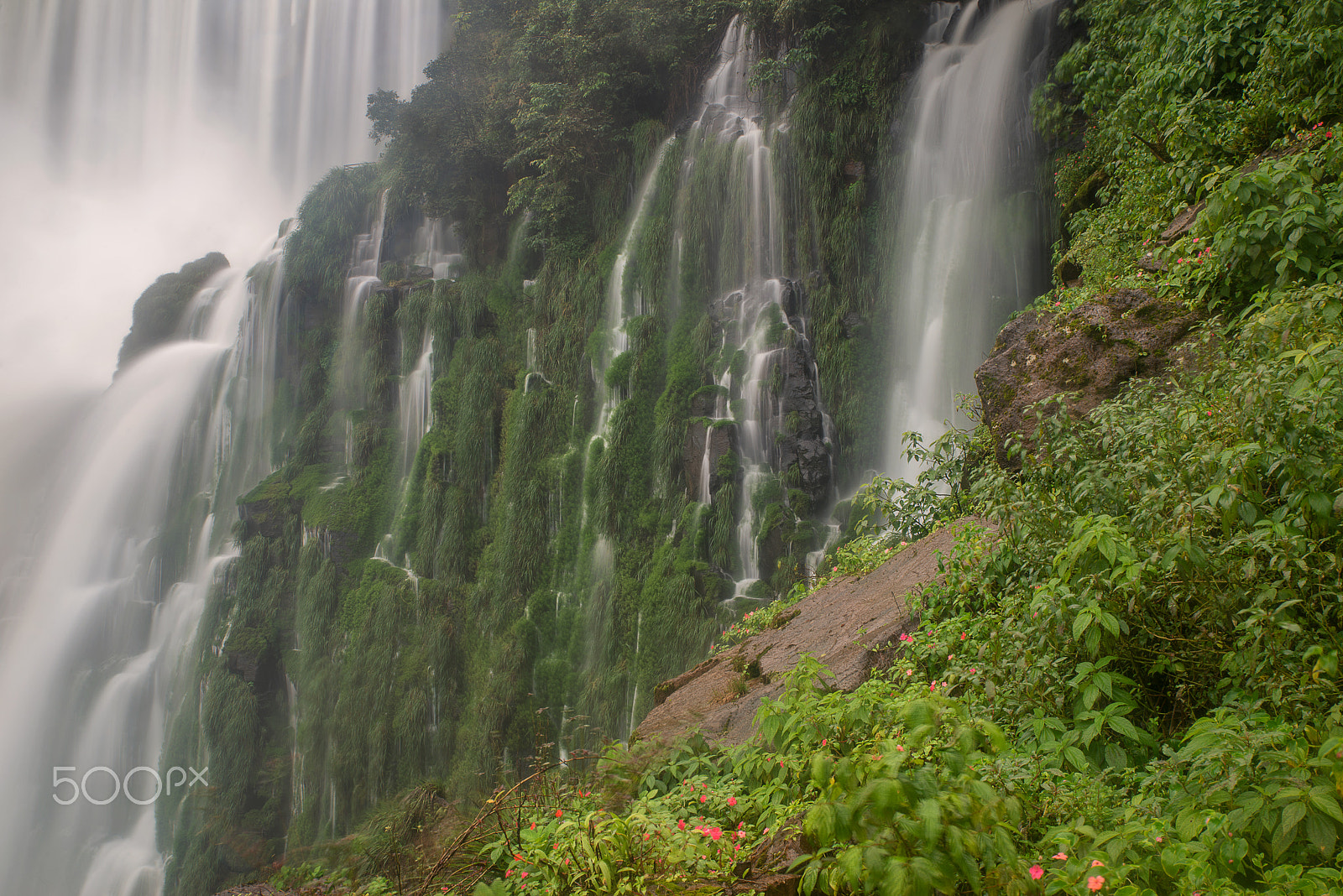 Nikon D800 + Tamron SP 24-70mm F2.8 Di VC USD sample photo. Iguasu falls argentina photography