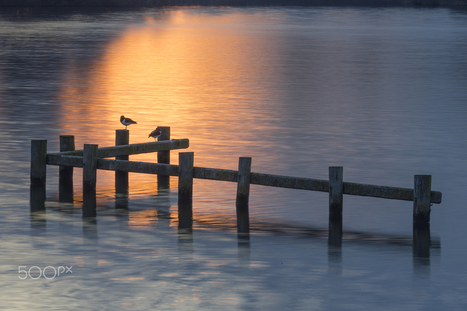 Sony 70-400mm F4-5.6 G SSM sample photo. Thank you for posing photography