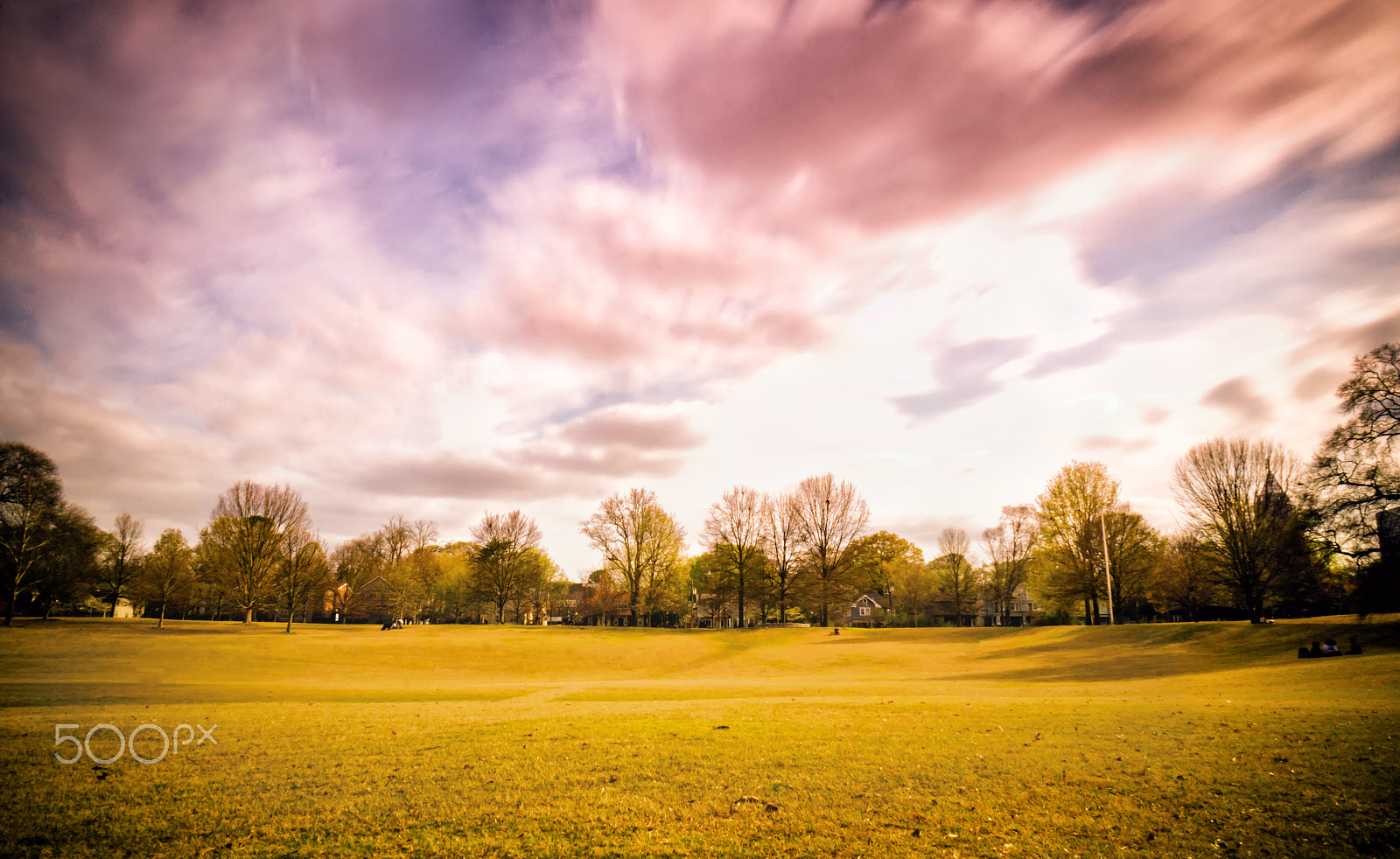 Sony Alpha a3000 + Sony E 16mm F2.8 sample photo. Fields photography