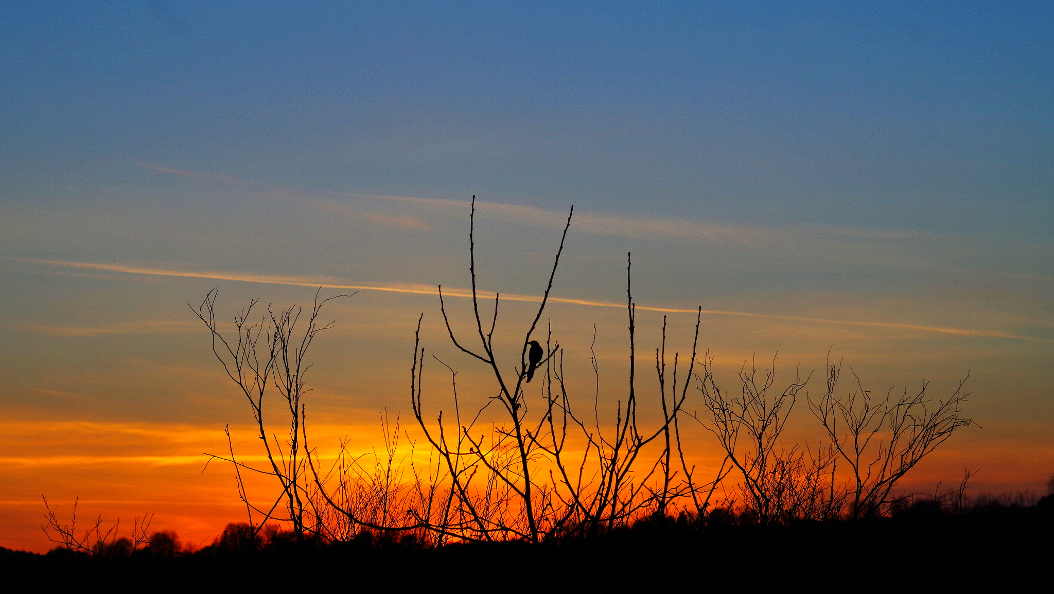 Pentax K-30 sample photo. Dawn  photography