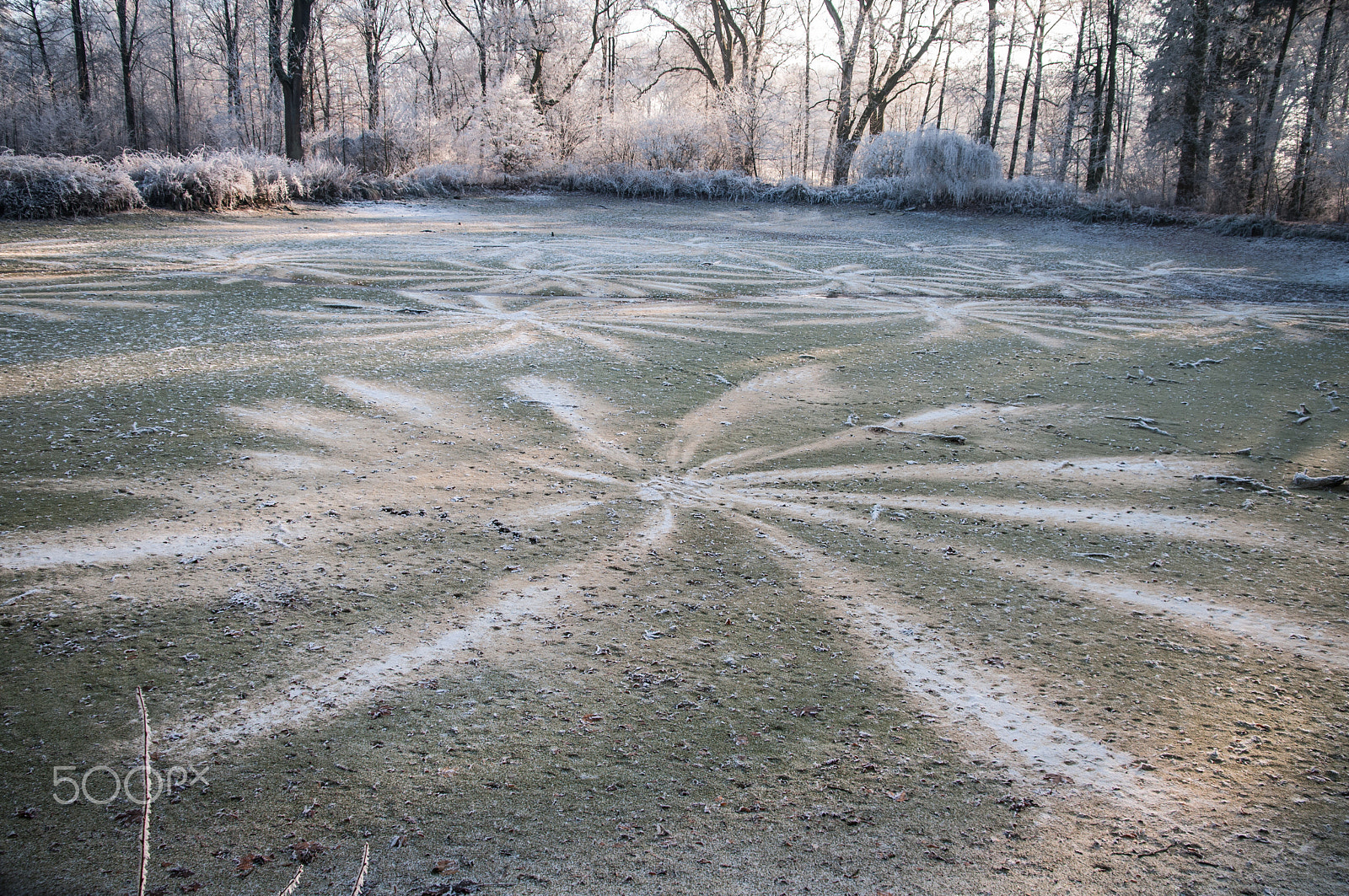 Nikon D300 sample photo. Pond photography