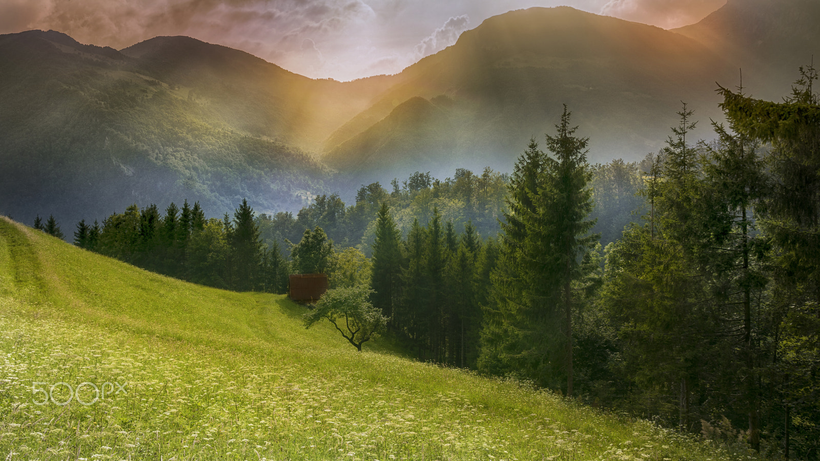 Sigma 17-70mm F2.8-4 DC Macro OS HSM | C sample photo. Slovenian mountains photography