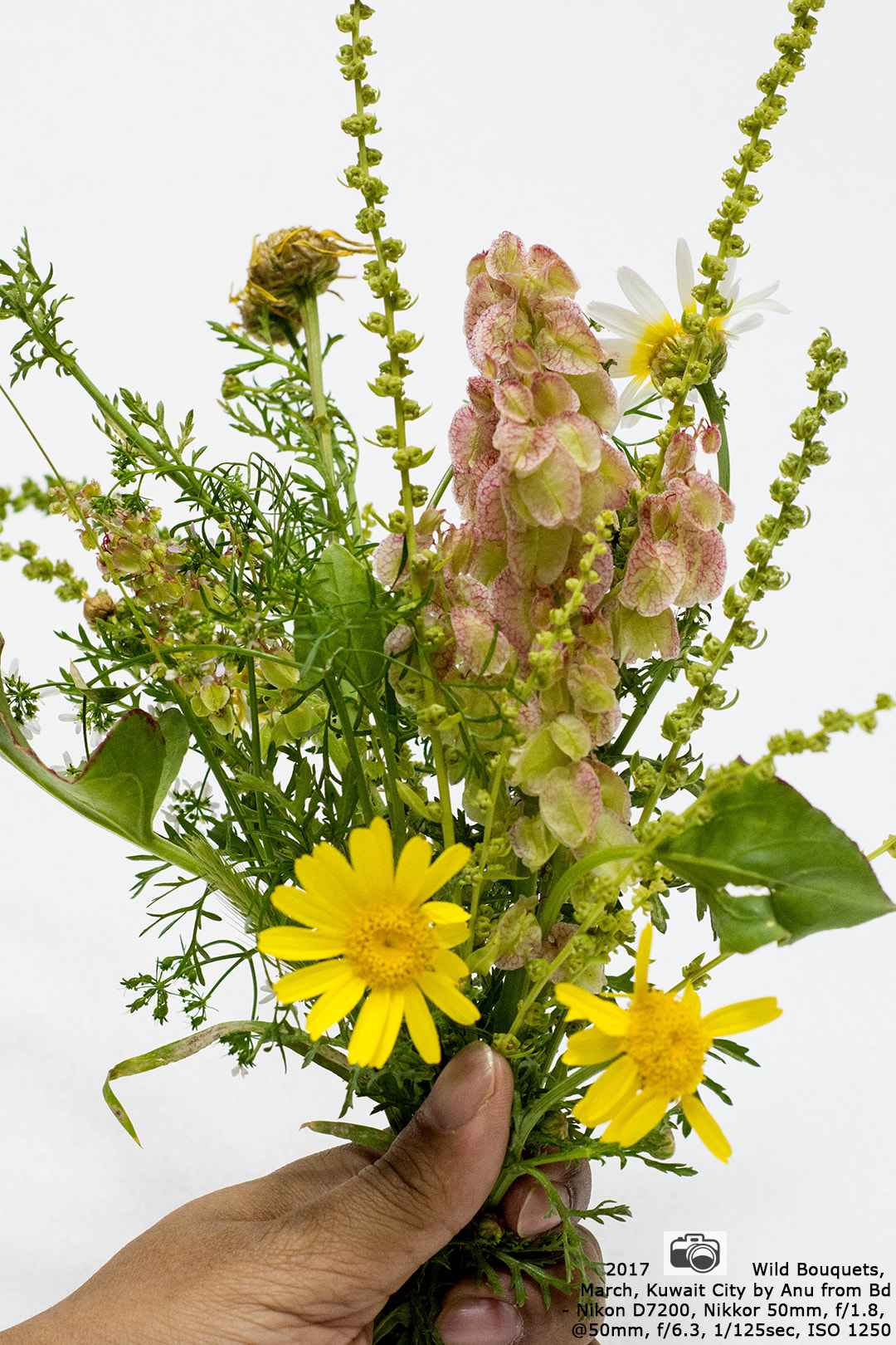 Nikon AF Nikkor 50mm F1.8D sample photo. Wild bouquets photography