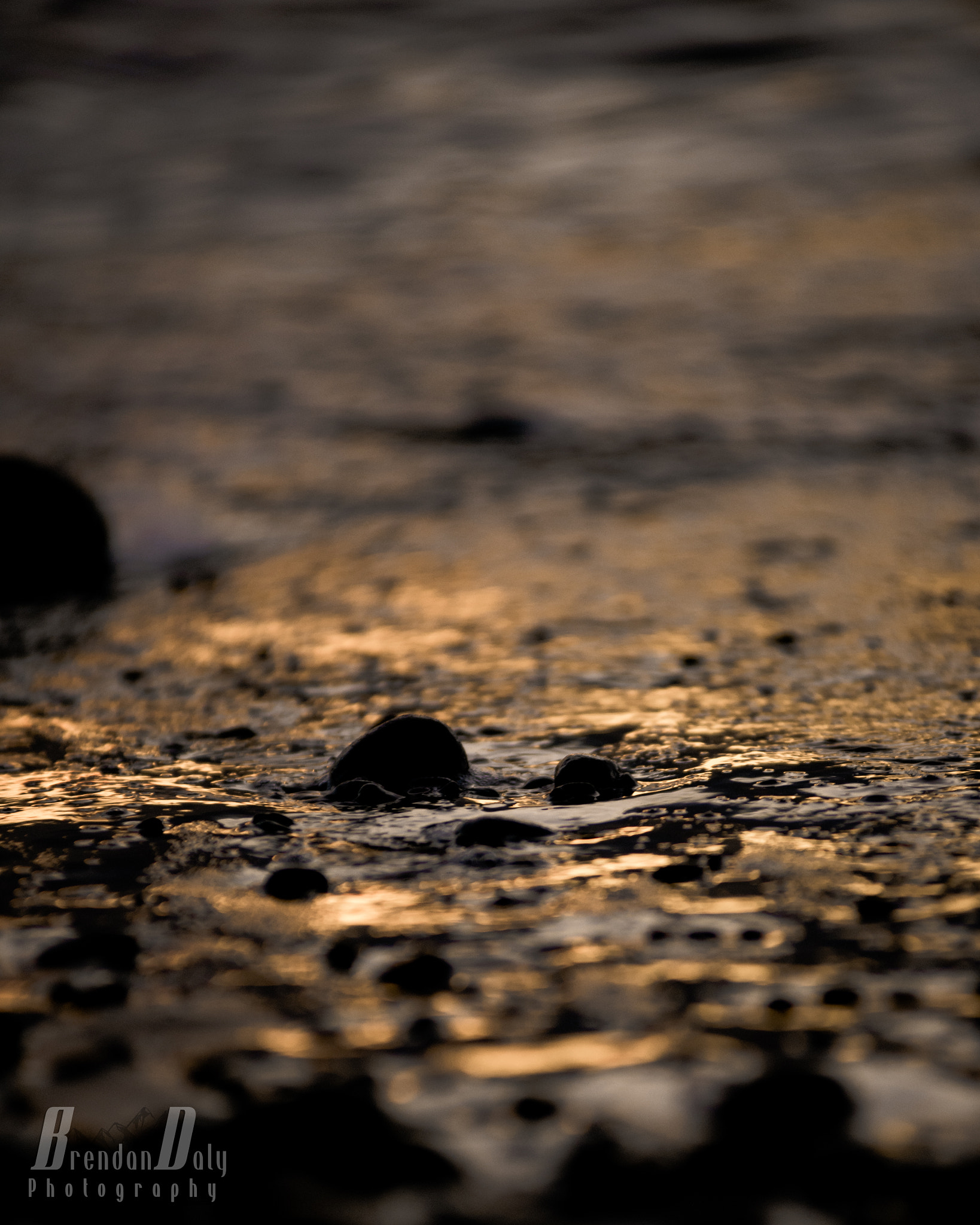 Nikon AF-Nikkor 80-200mm F2.8D ED sample photo. Bmd photography