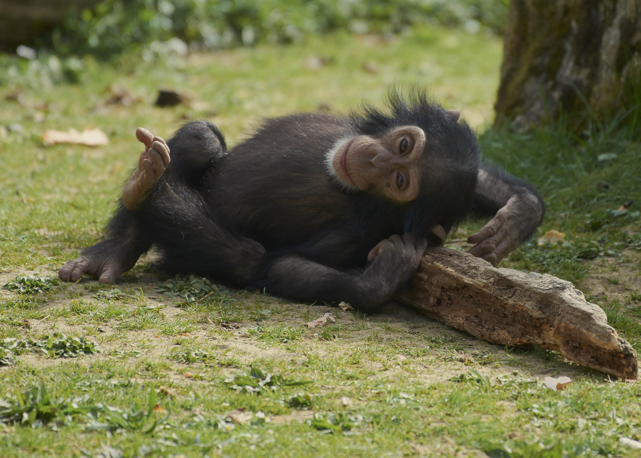 Nikon AF-S Nikkor 200-500mm F5.6E ED VR sample photo. Hellooo baby photography