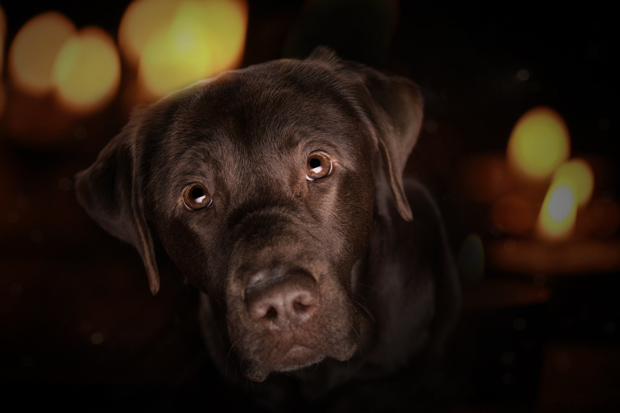 Sony ILCA-77M2 sample photo. In diesen augen vergeht alles schlechte dieser welt photography