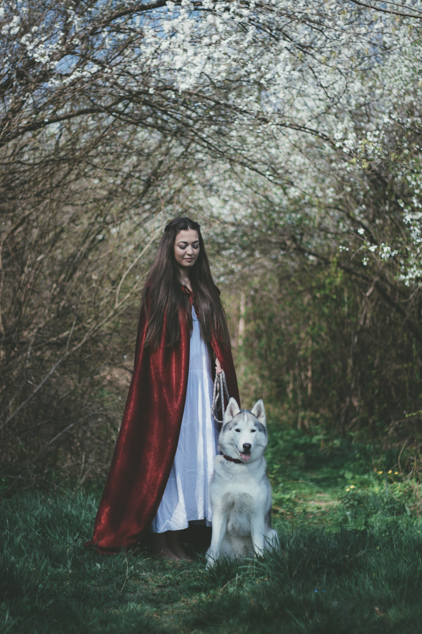 Canon EOS 80D + Canon EF 50mm F1.8 II sample photo. Fairy tale photography