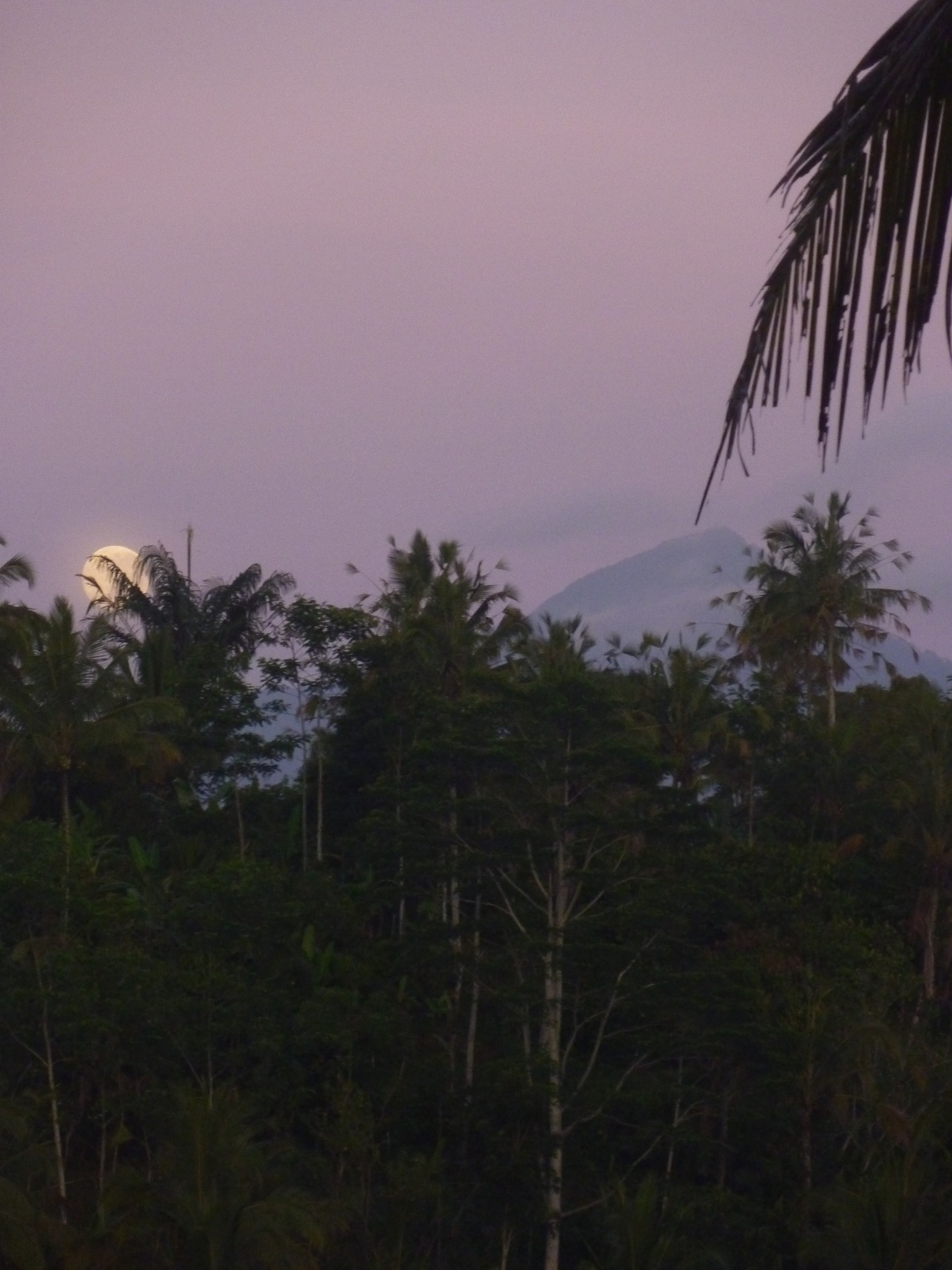 Panasonic DMC-ZX1 sample photo. Sunrise and moonset photography