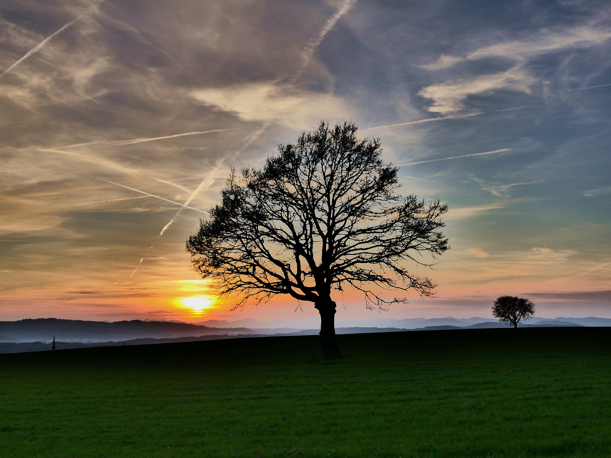 Panasonic Lumix DMC-GX8 sample photo. Tree in sunset photography