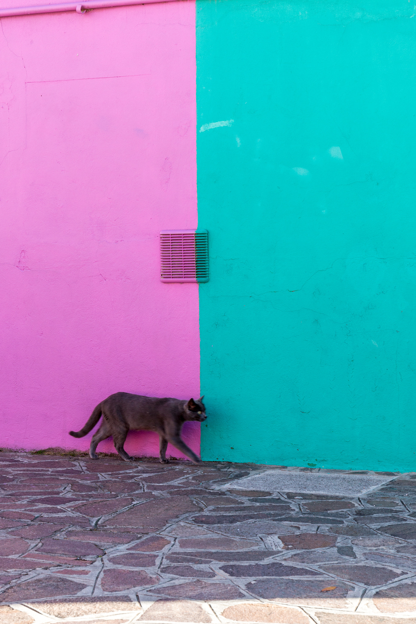 Canon EF 24-70mm F4L IS USM sample photo. Colors of burano photography