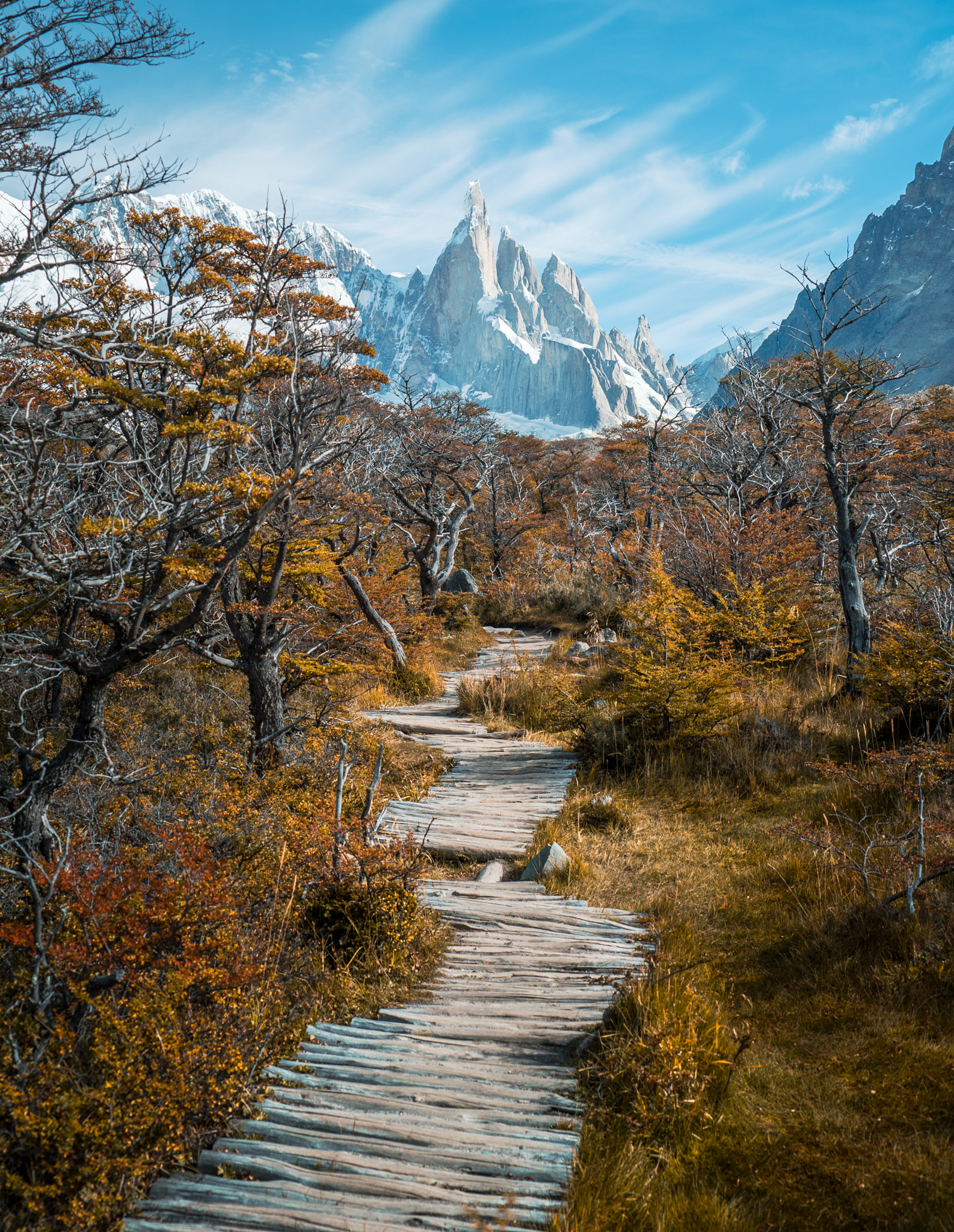 Sony a7S II + Sony FE 24-240mm F3.5-6.3 OSS sample photo. Path to cerro torre photography