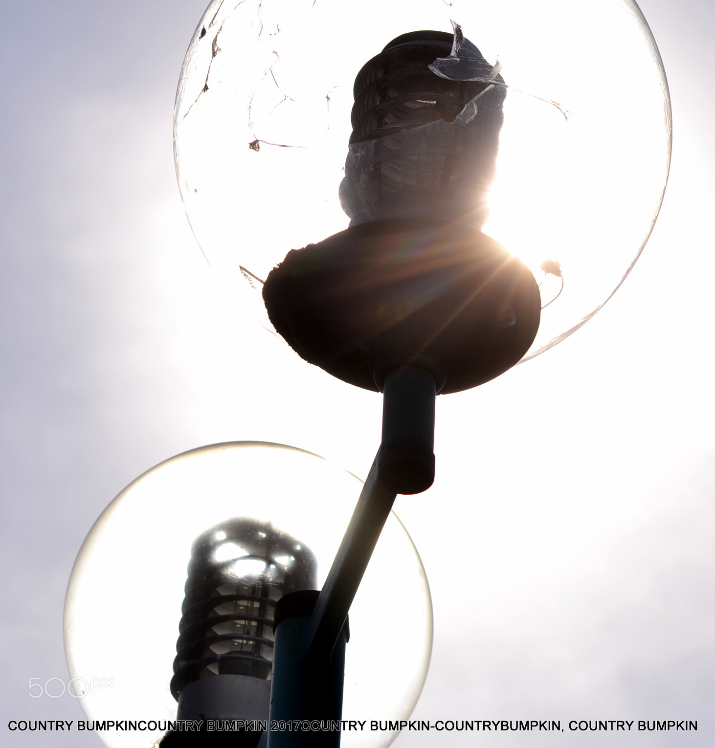 Sigma 70-300mm F4-5.6 APO DG Macro sample photo. Sunlights photography