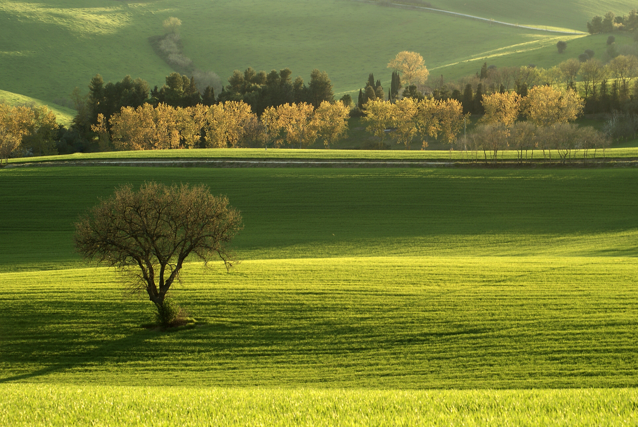 Sony Alpha DSLR-A230 + Sigma 70-210mm F4-5.6 APO sample photo. Wiosna:) photography