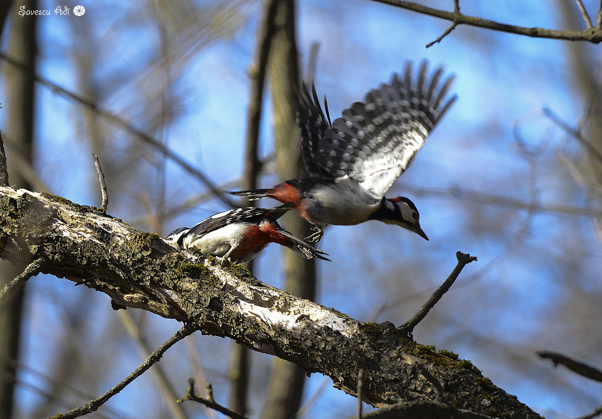 Sigma 150-600mm F5-6.3 DG OS HSM | C sample photo. After satisfaction photography