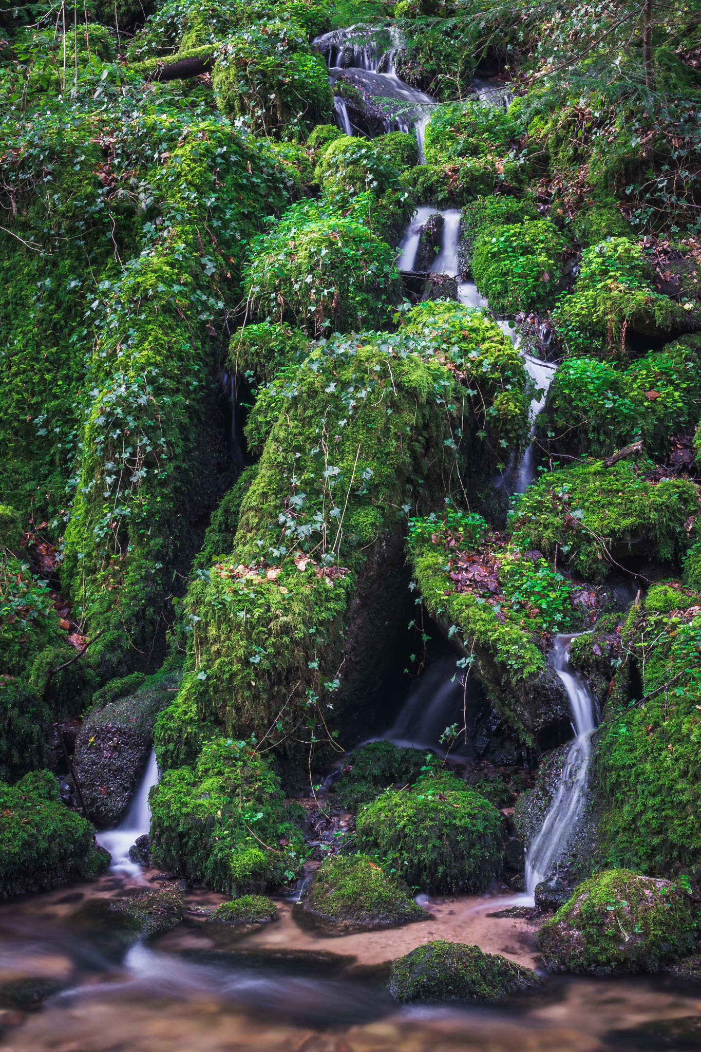 Nikon D7200 sample photo. Green spring photography