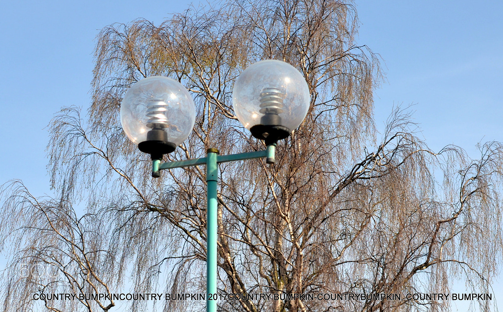 Sigma 70-300mm F4-5.6 APO DG Macro sample photo. Dsc photography