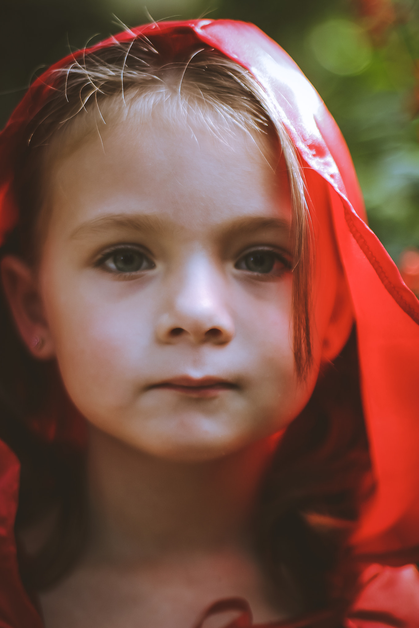 Canon EF 50mm F1.8 II sample photo. Img photography